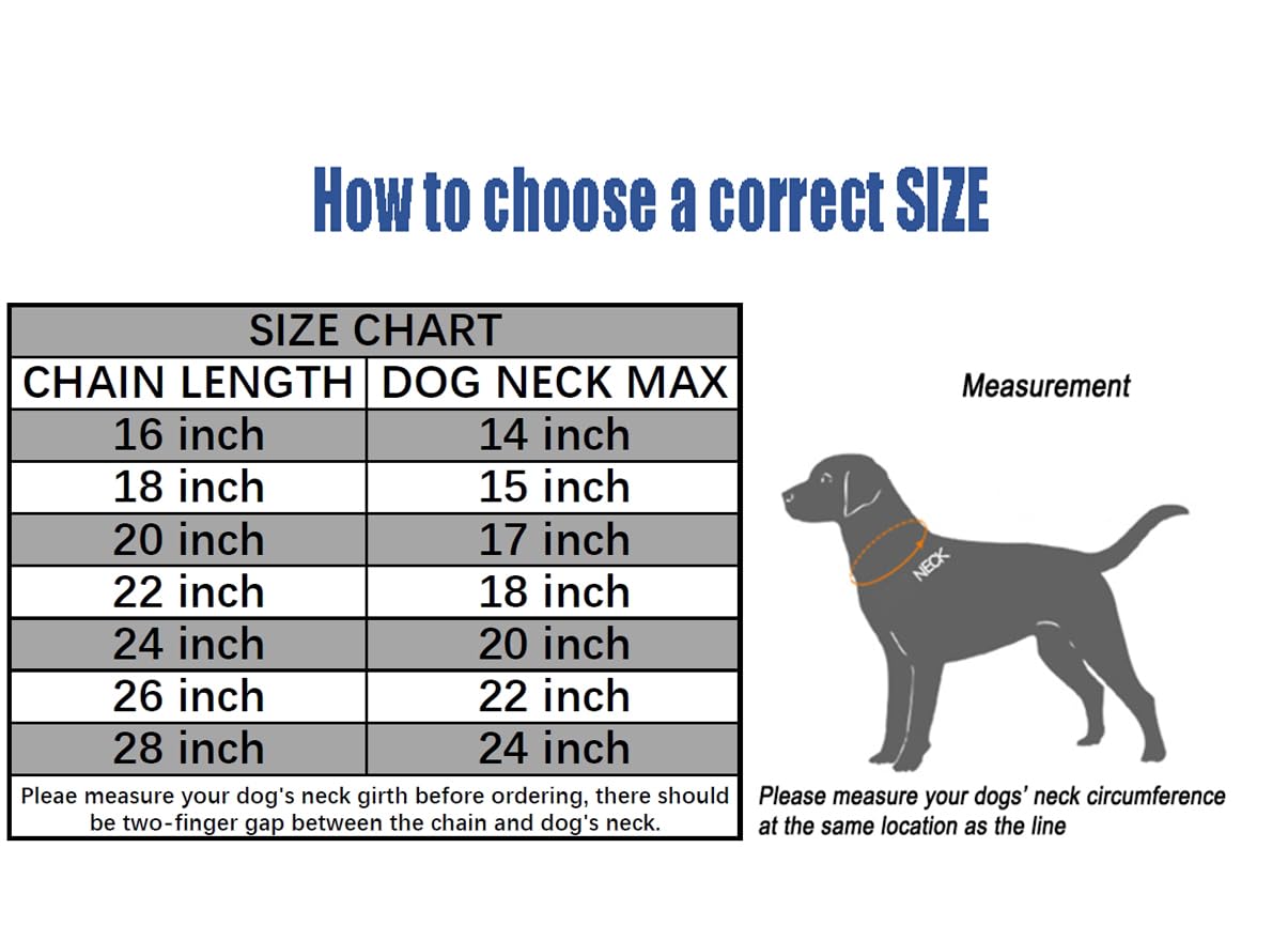 Sgoda Chain Dog Training Choke Collar, 16 In, 2.0 Mm