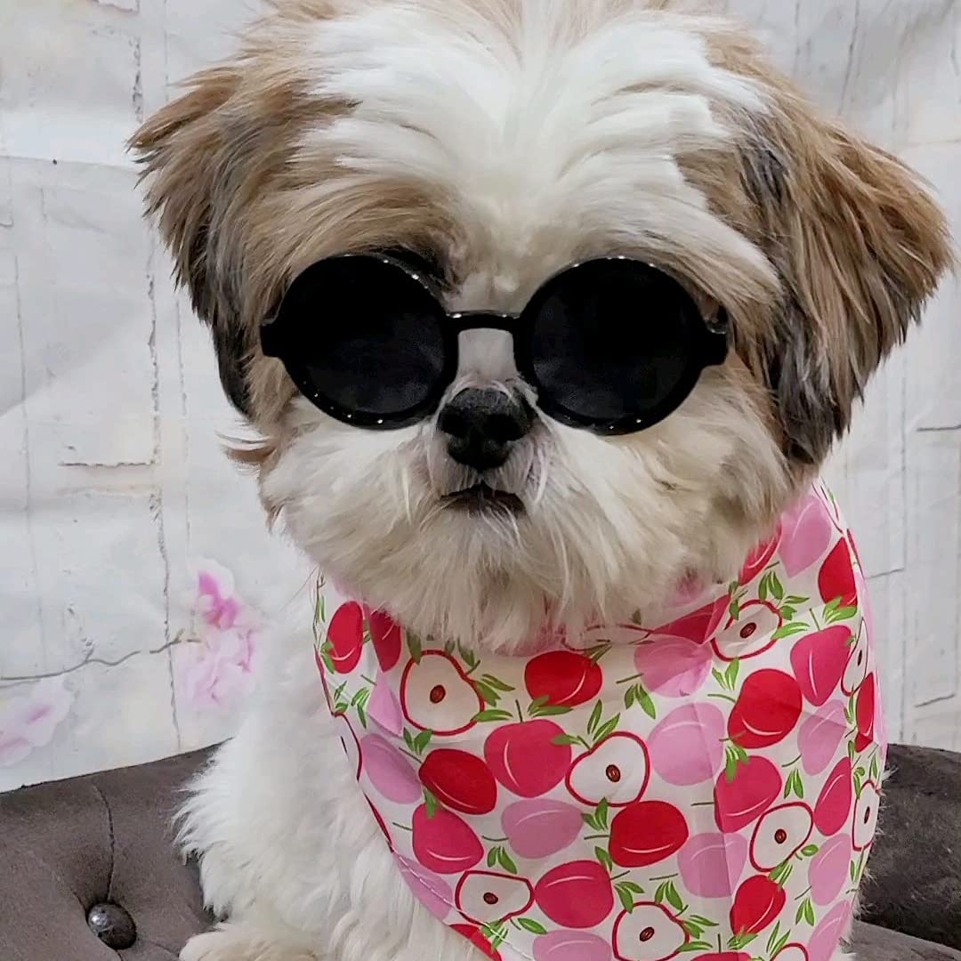 G016 Small Breed Dog Up To 15Lbs Pet Cat Round Tiny Sunglasses (Black)