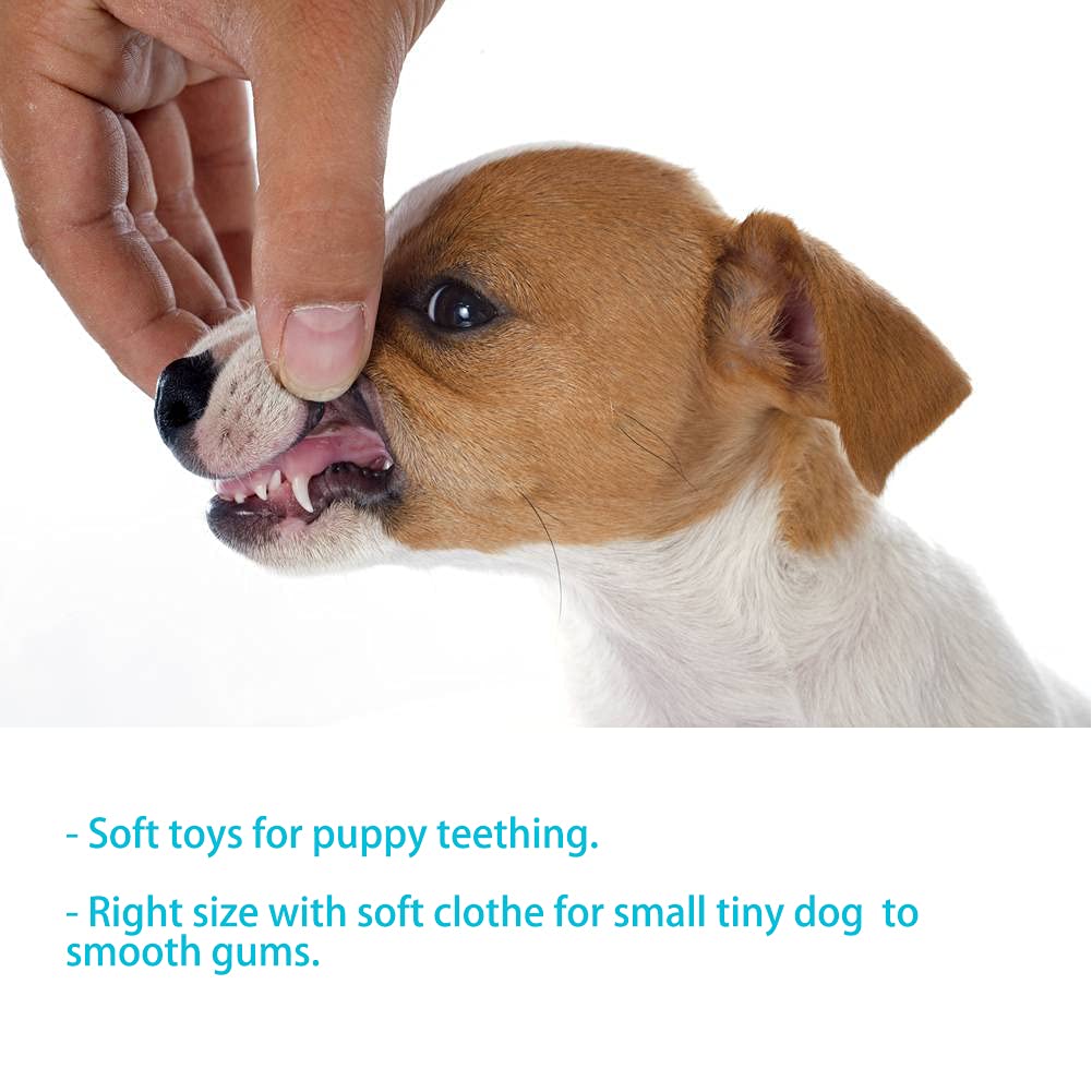 Aolaco Puppy Toys For Teething Puppies, Puppy Chew Toys For Small Dogs, Plush Squeaky Bunny Dog Toys For Puppies, Small Puppy,Pink, 4Pcs