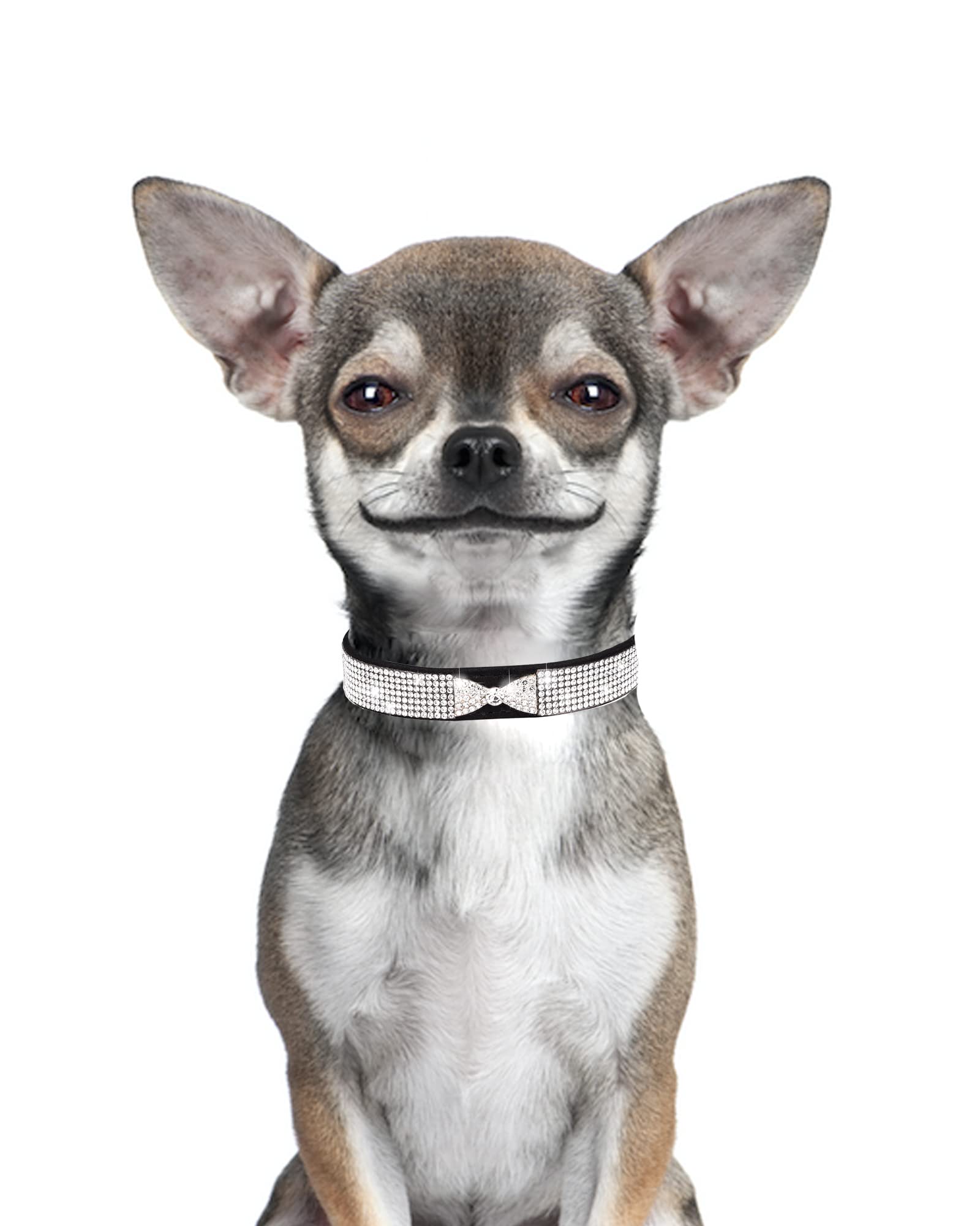 Dog Collar For Small Dogs, Adjustable Leather Suede Bling Dog Collars,Pink Dog Collar Cat Collar, Rhinestone Dog Collar (Xs, Bla