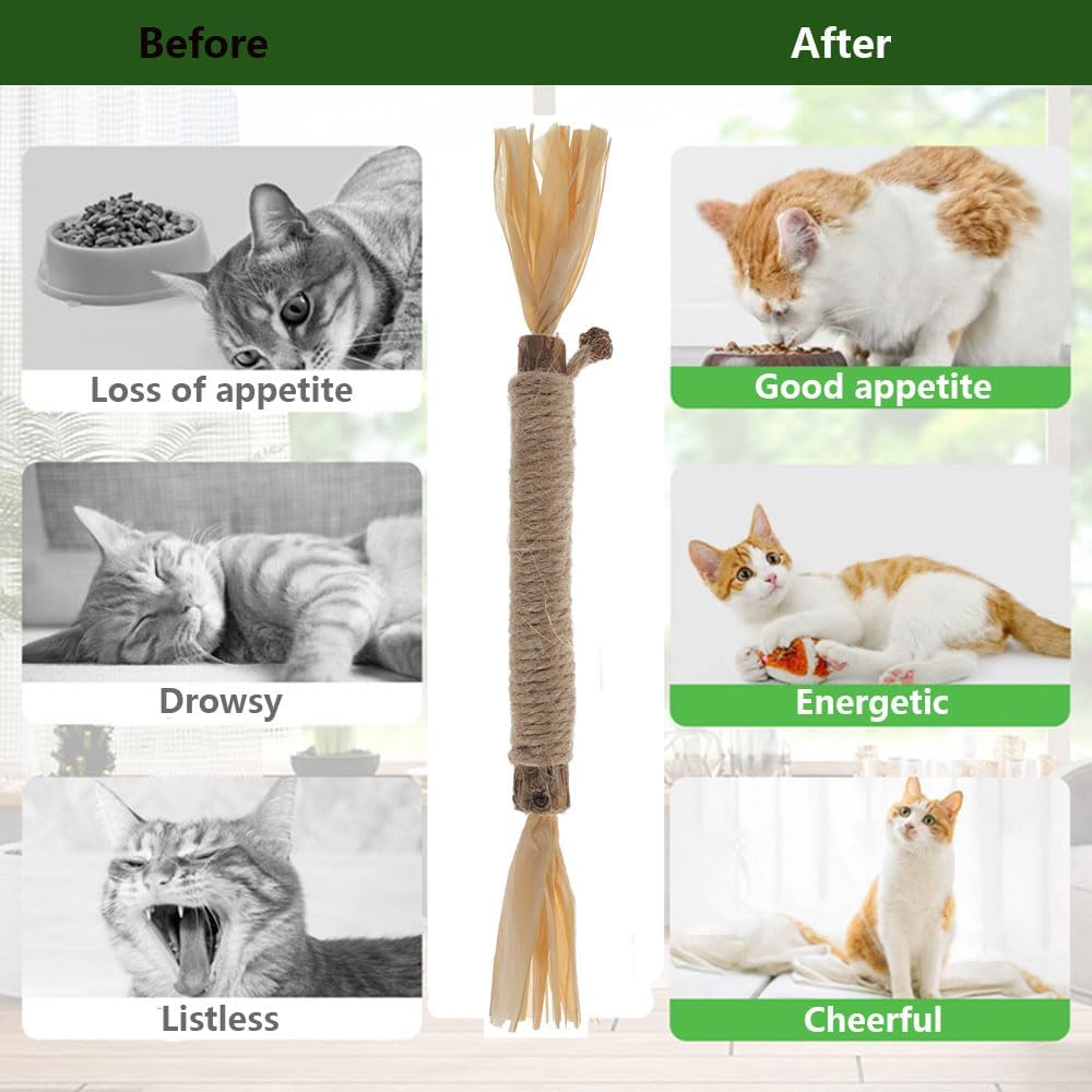 Relonggi 3 Pcs Silvervine Sticks For Cats - Natural Cat Chew Toys For Teeth Cleaning, Kitten Teething & Aggressive Chewers