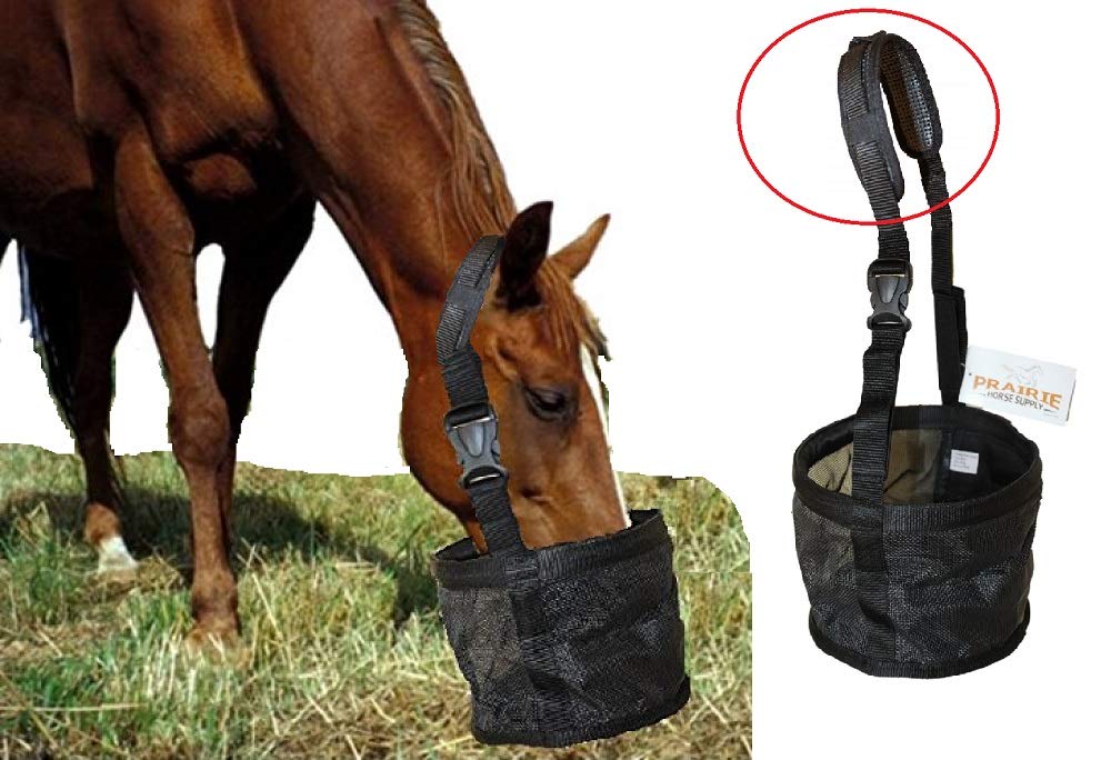 Feed Bag For Horses With Comfort Neck Pad, Heavy Duty Durable Canvas Grain Feedbag, Small Medium Or Large (Pony)