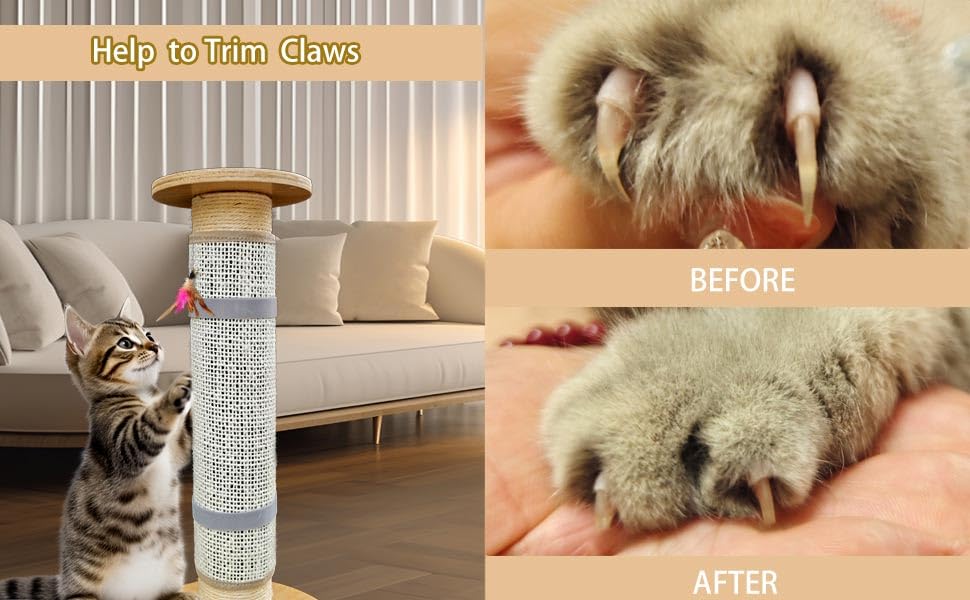 Deapher Cat Nail File Scratcher with 80-Grit Aluminum Oxide - Wrap-Around Design for Nail Trimming & Scratching Post Repair | Ca