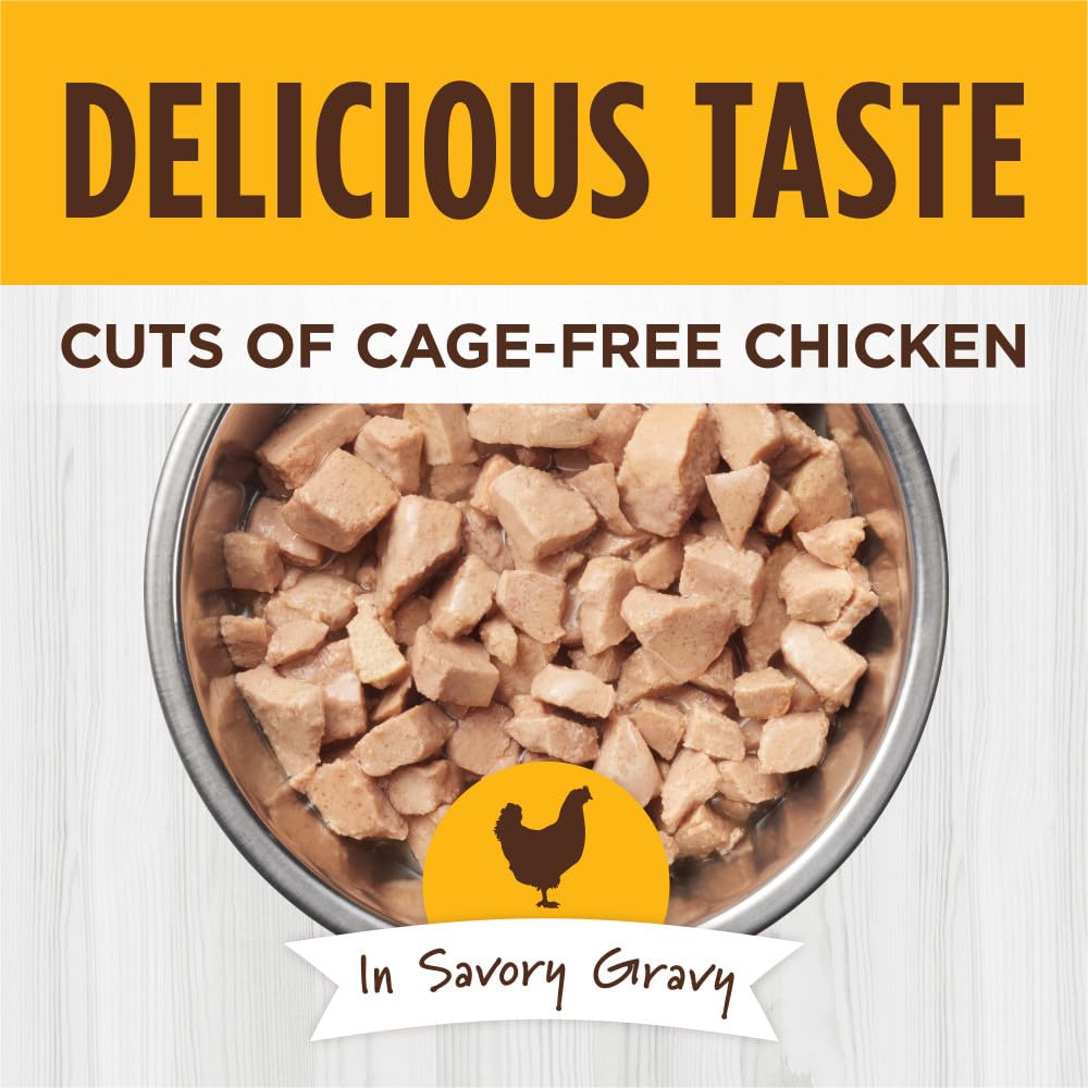 Instinct Healthy Cravings Grain Free Real Chicken Recipe Natural Wet Cat Food Topper by Natures Variety, 3 Ounce (Pack of 24)
