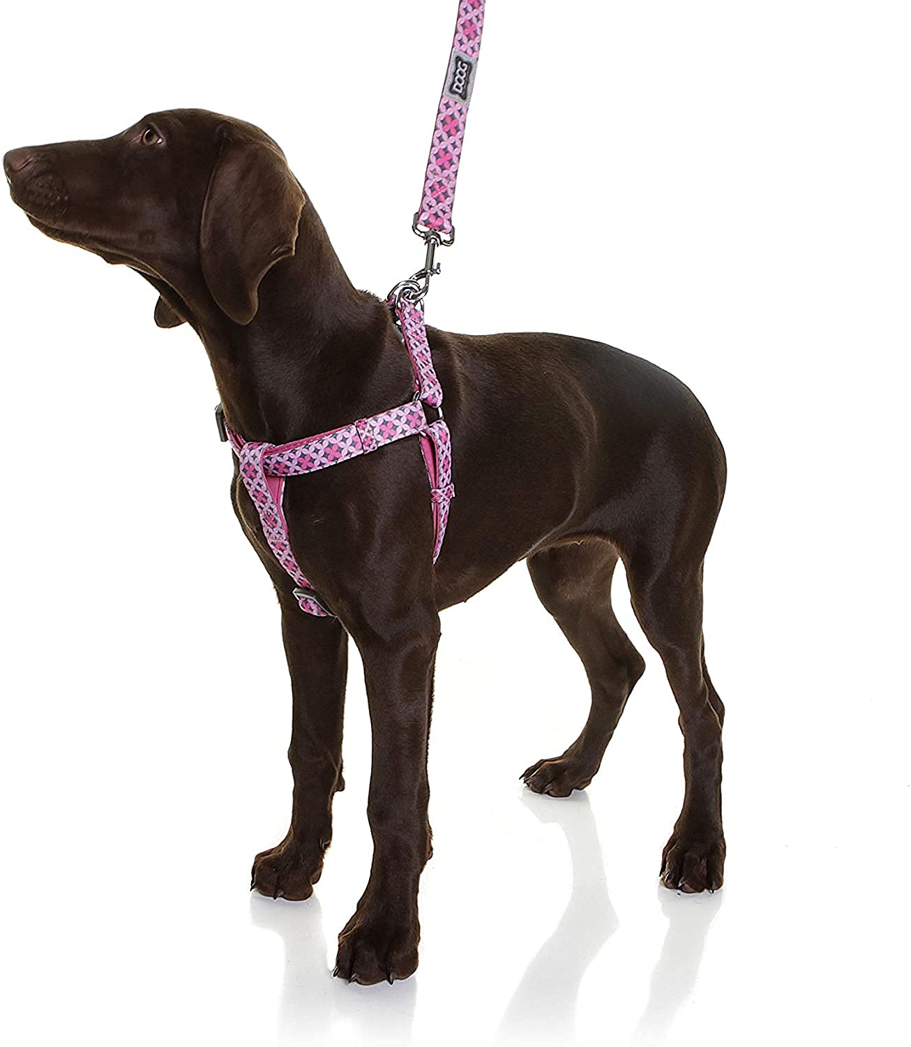 Doog Step-In Reinforced Neoprene Harness, Water Friendly, Quick-Drying, 2 Adjustable Areas, Large, (Harbfl-L)