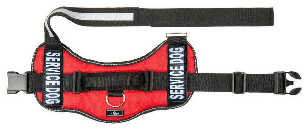 Doggie Stylz Official Service Dog In Training Vest Harness Bundle Kit. Includes Set Of Service Dog + Service Dog In Training Removable Reflective Patches + 30 Inch Lead + 2 Id Dog Tags