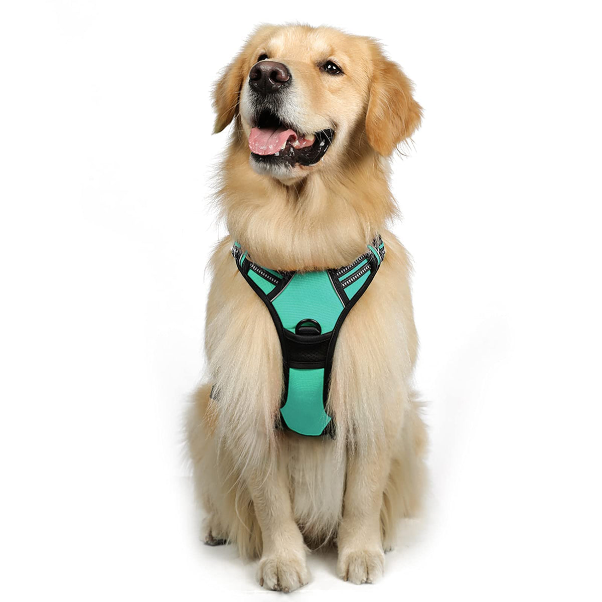 Rabbitgoo Dog Harness, No-Pull Pet Harness With 2 Leash Clips, Adjustable Soft Padded Dog Vest, Reflective No-Choke Pet Oxford Vest With Easy Control Handle For Large Dogs, Turquoise, Xl