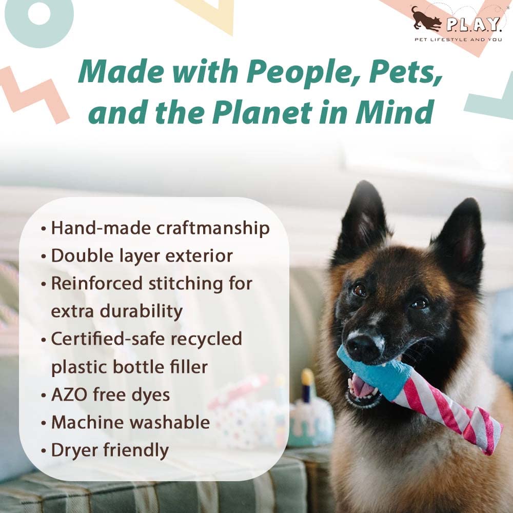 P.L.A.Y. Cute Plush Dog Toys - Birthday Party Themed Durable Squeaker Chew Toy, Great For Puppies & Small, Medium, Large Dog - M
