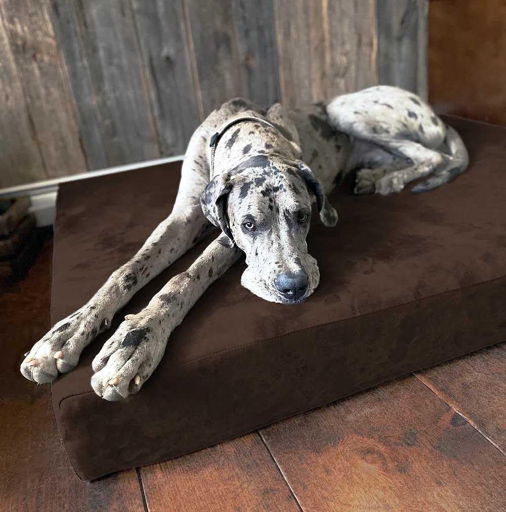 Barker Beds Sleek Giant Dog Bed (Giant, Chocolate) - 7 Thick Soft & Comfortable Orthopedic Cushion - Big Dog Bed - Durable & W
