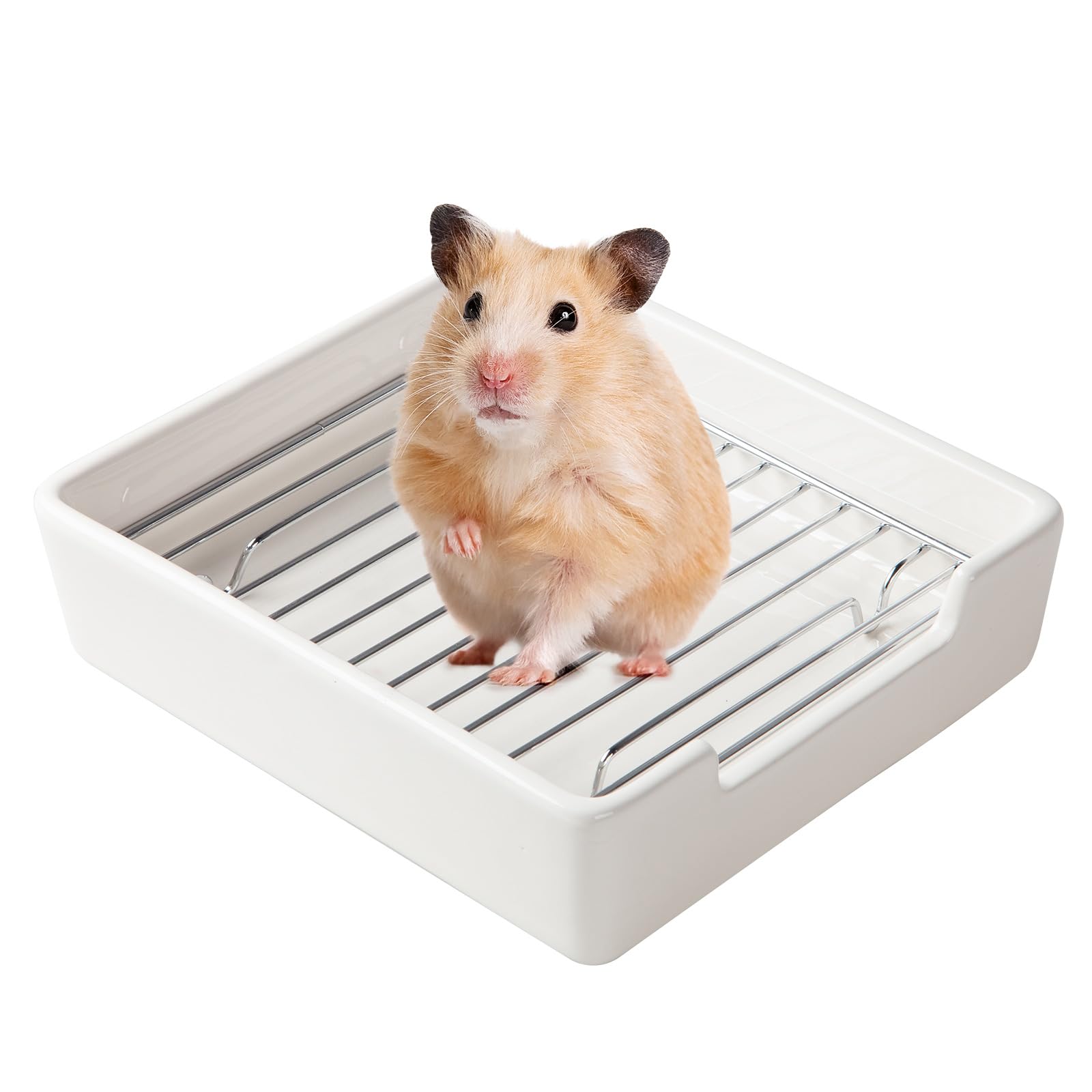 Cutomo Ceramic Litter Box For Small Pets, Tip-Proof, Chew-Resistant, Ideal For Hamster, Guinea Pig, Sugar Glider, Hedgehog, Syri