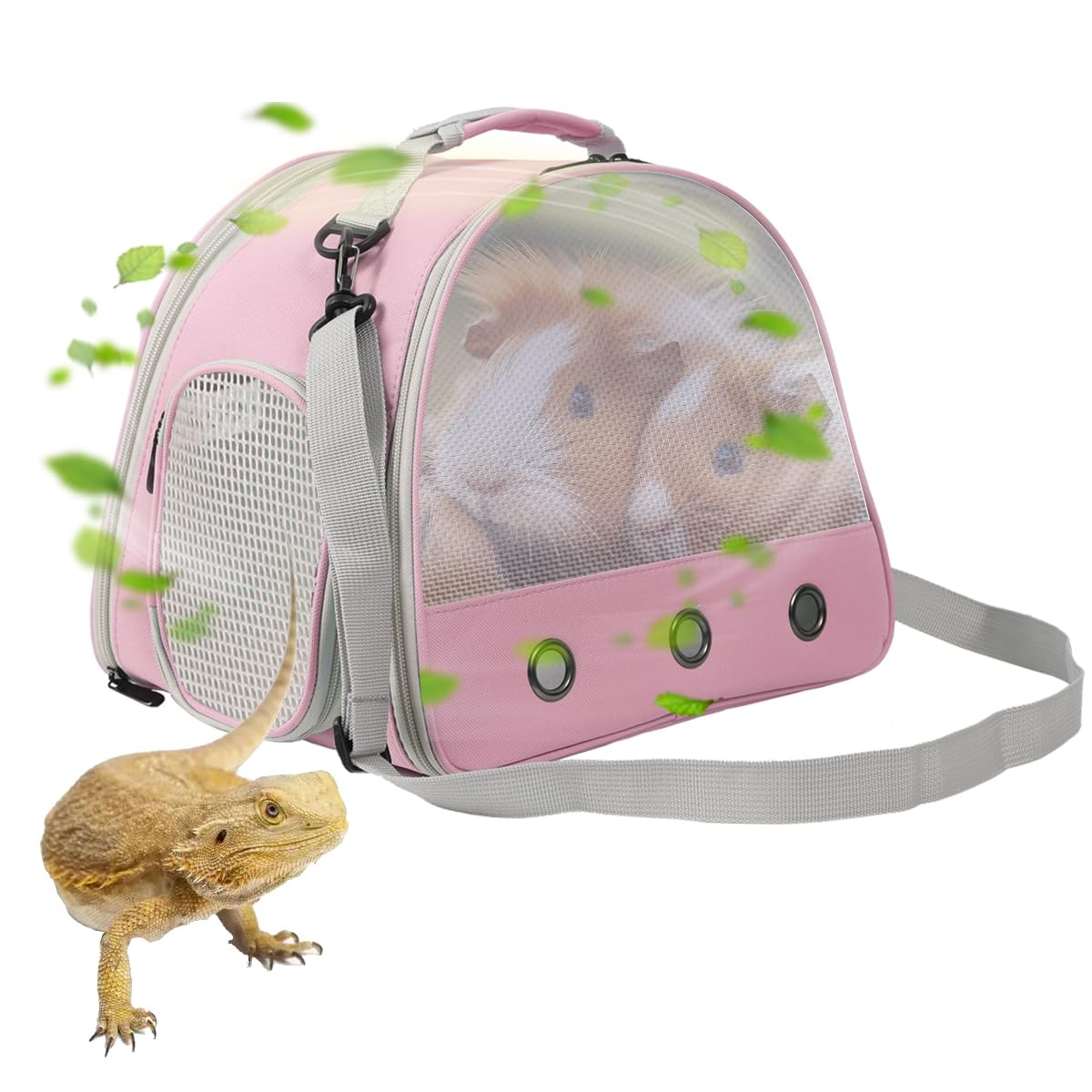 Ventilation Carrier For Bearded Dragon,Guinea Pig Carrier,Guinea Pig Carrier For 2,Reptile Travel Carrier For Lizards Sugar Glid