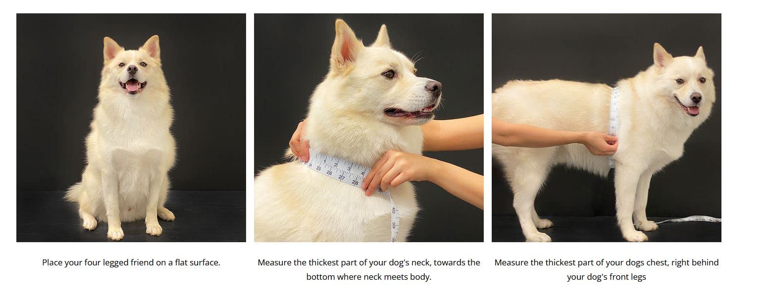 Puppia Dotty Step-In Vest Dog Harness No Pull No Choke Easy Wear Training Walking For Small Dog, Small, Black