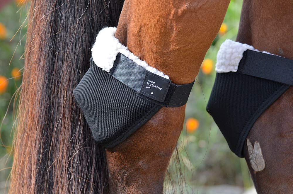 Click Horse Hock Shield, Horse Care Boots, Hock Shield For Horses, Fleece Lining, Prevents Hock Sores & Bed Sores, Tear Resistant Hock Protectors For Horses, Black W/Green Trim Xl Horse Size 16'-20'