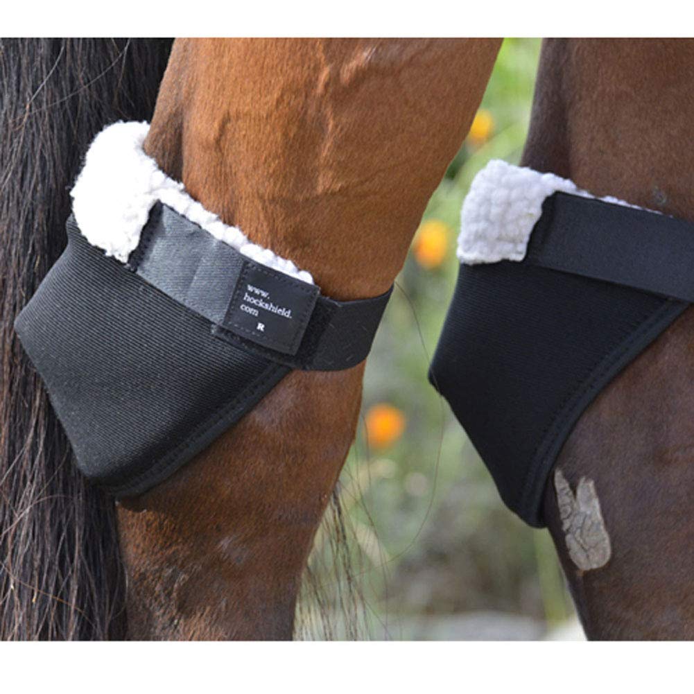 Click Horse Hock Shield, Horse Care Boots, Hock Shield For Horses W/Fleece Lining, Prevents Hock Sores & Bed Sores, Tear Resistant Hock Protectors For Horses, Black W/Green Trim Horse Size 13'-15.9'