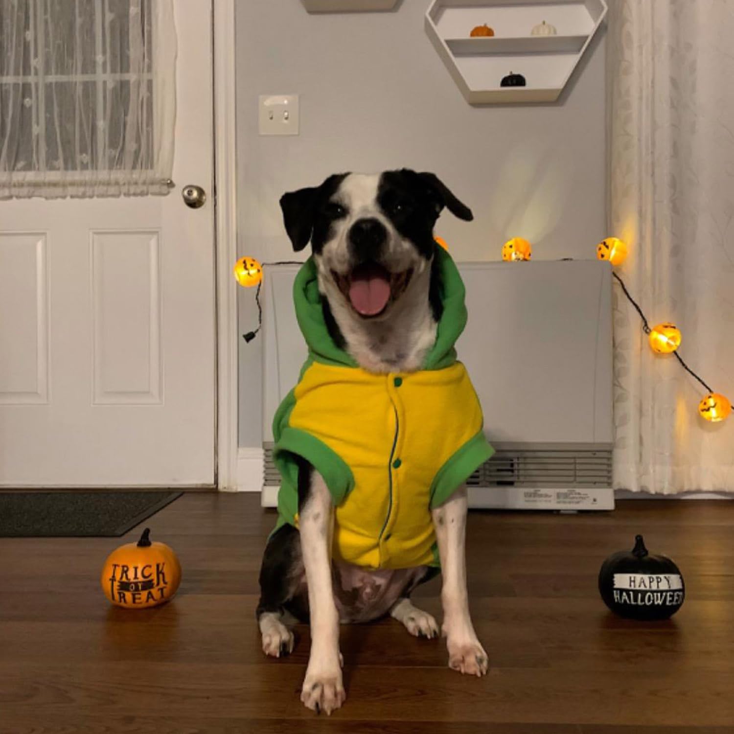 Fladorepet Funny Halloween Large Dog Dinosaur Costume Outfits,Dog Pajamas Hoodie Winter Warm Pet Clothes Coat For Golden Retriever Pitbull(6Xl, Green)