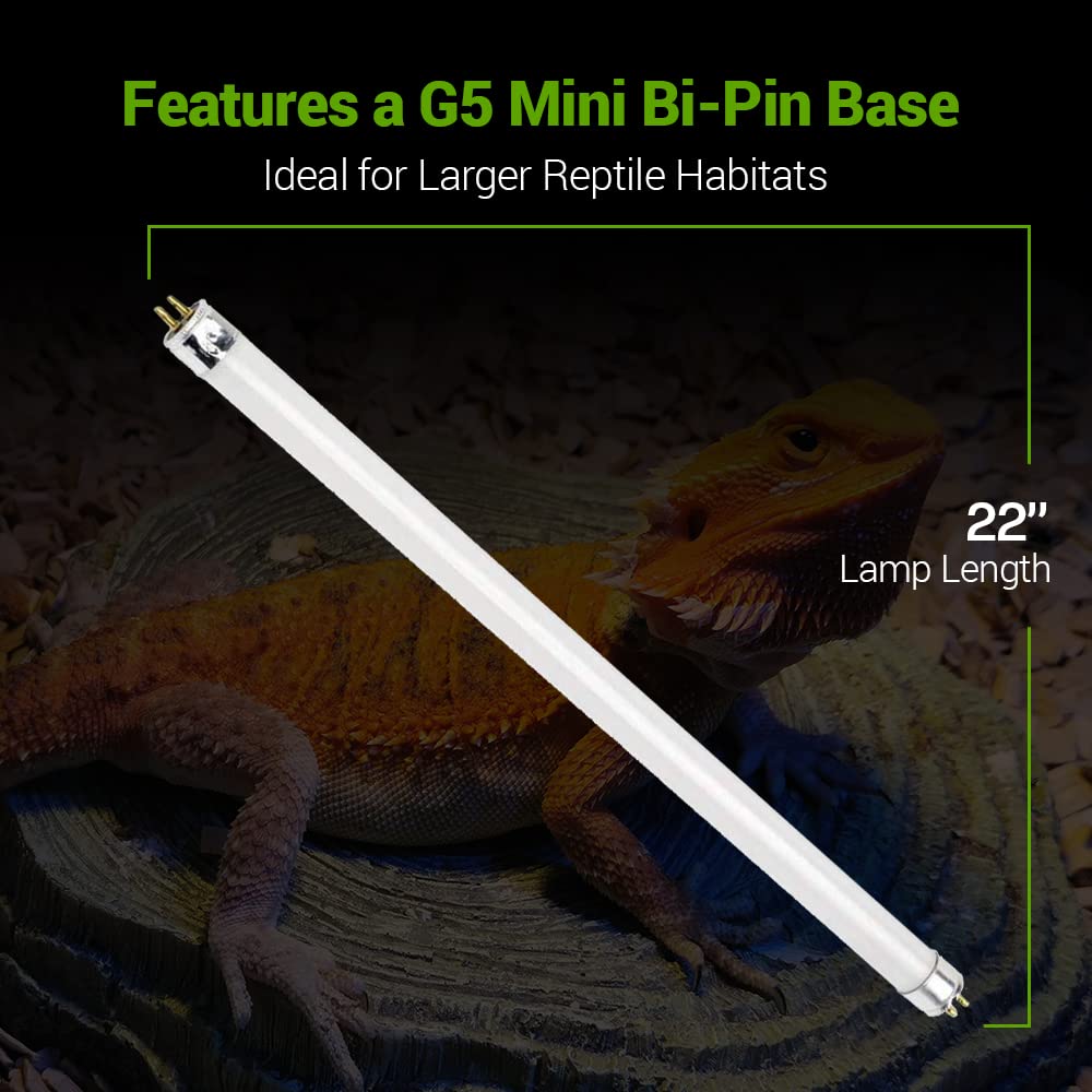 2 Pack 24W-Watt T5 Ho Reptile Light Desert Uva Uvb 10.0 Fluorescent Tube - 22'' Terrarium Hood Light Suitable For Desert Reptile