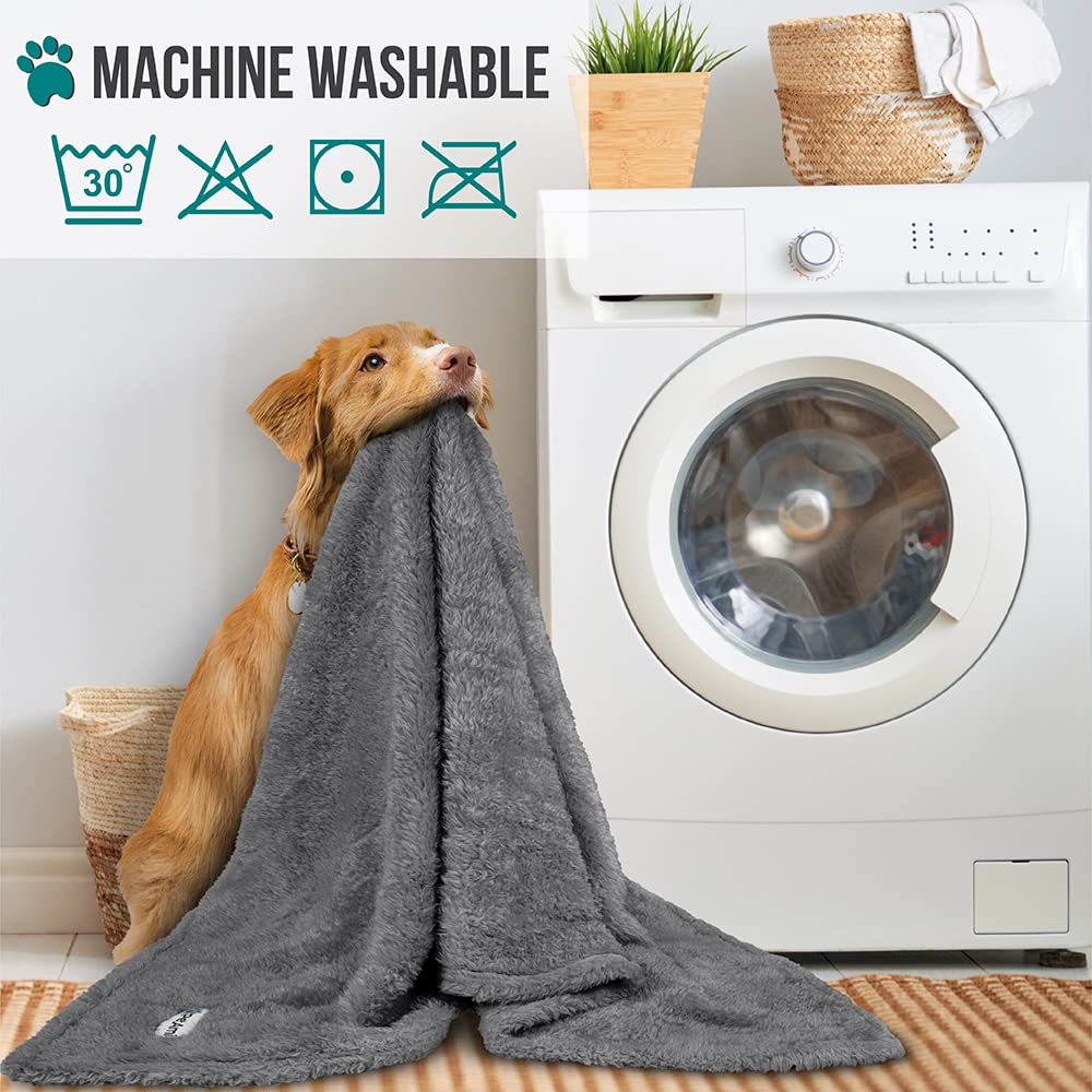 Petami Dog Blanket For Small Dogs Grey, Fluffy Soft Puppy Blanket, Sherpa Fleece Cat Blanket For Kitten Doggie, Calming Pet Blanket Throw For Couch Sofa Bed Washable, Small 24X32