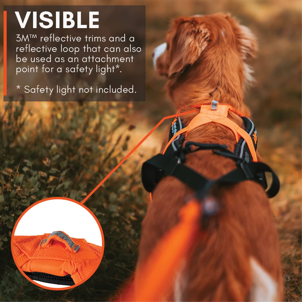 Non-Stop Dogwear Freemotion Harness 5.0 Dog Pulling Harness For Sports Like Running, Biking And Skiing With Dogs, Professional Adjustable Dog Harness, Orange/Black, Size 7