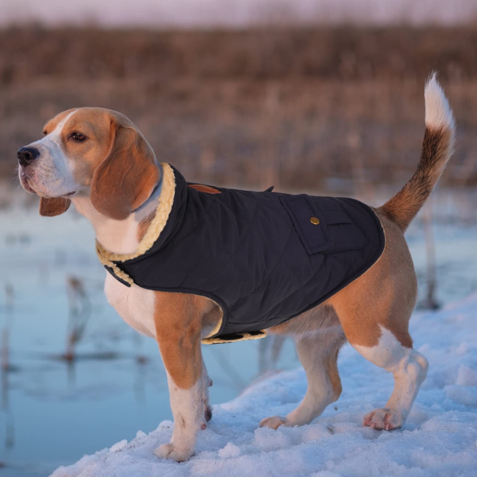 Queenmore Cold Weather Dog Coat, Winter Quilting Dog Jacket Ultra Warm Thick Plush Lining With Storage Pockets (Dark Navy, Medium)