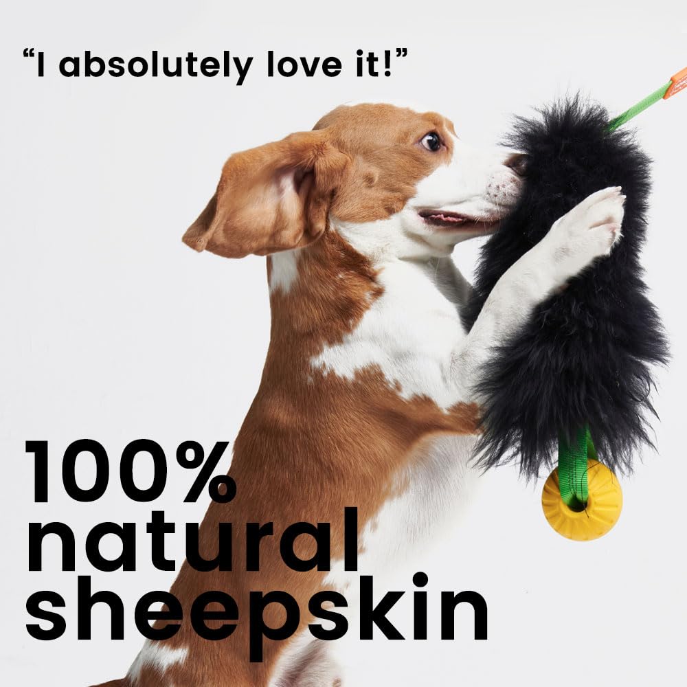 HOWGO Dog Rope Toy,Dog Bungee Chaser Toy 100% Sheepskin,Sheep Smell Tug Toy for All Breeds (Orange, Long Without Ball)