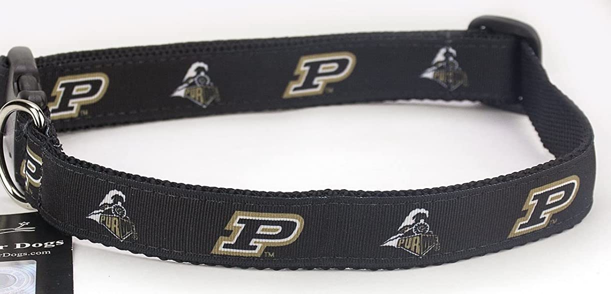 College Dog Collar (Medium, Purdue)
