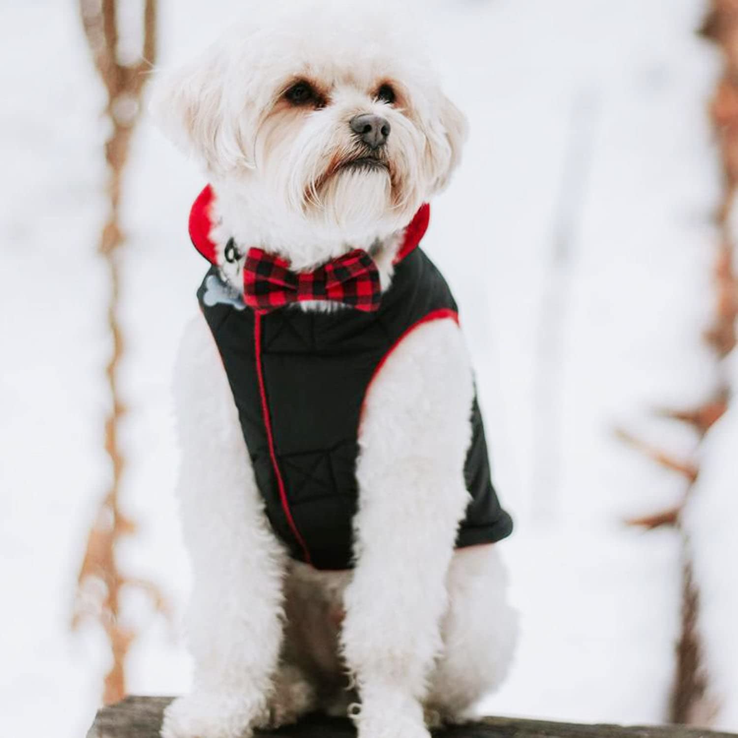 Gooby Sports Vest Dog Jacket - Black, Medium - Reflective Dog Vest With D Ring Leash - Warm Fleece Lined Small Dog Sweater, Hook And Loop Closure - Dog Clothes For Small Dogs Boy Or Girl Dog Sweater