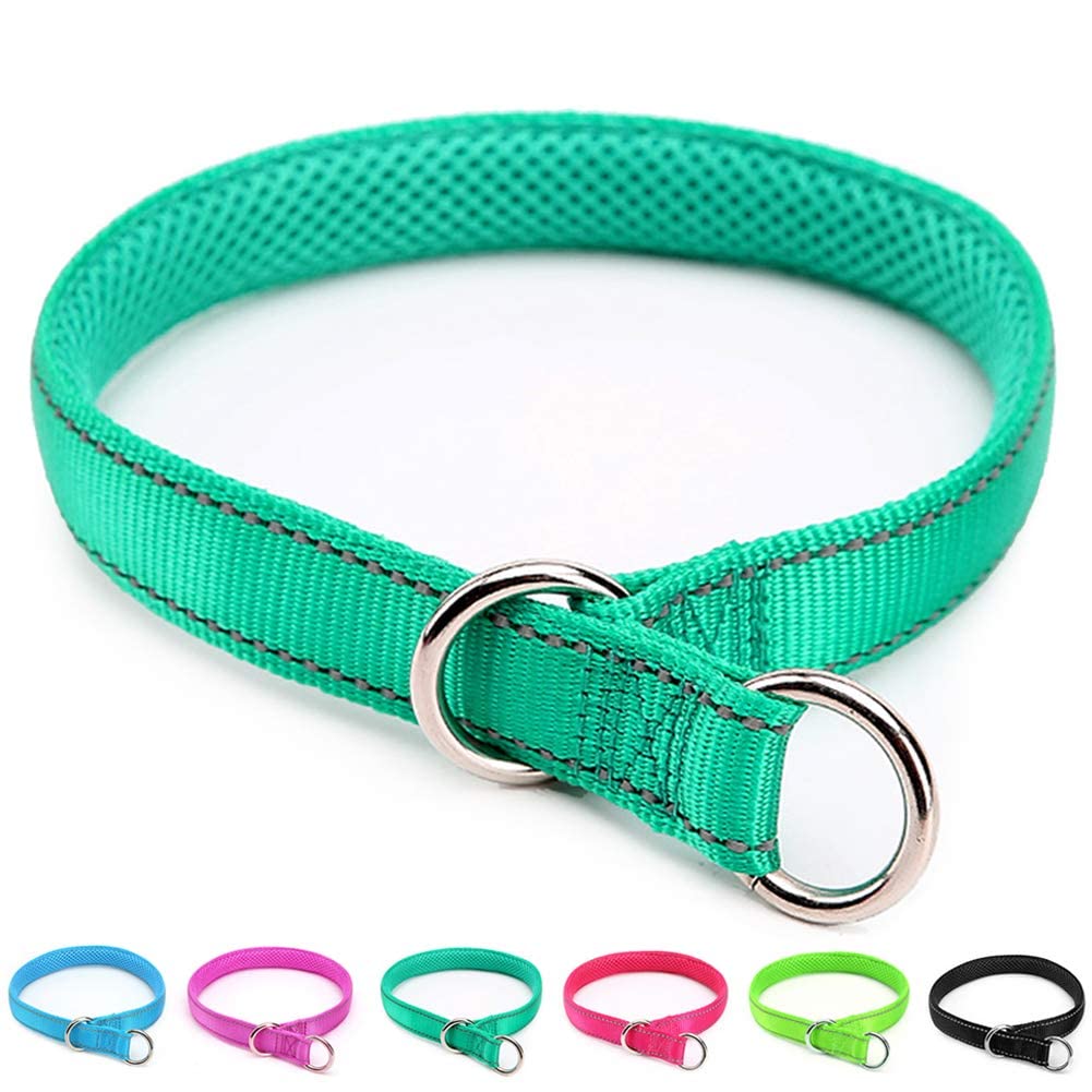 Mycicy Reflective Slip Collar, Soft Nylon Training Choke Collar For Dogs In Turquoise 22', Wide 1'