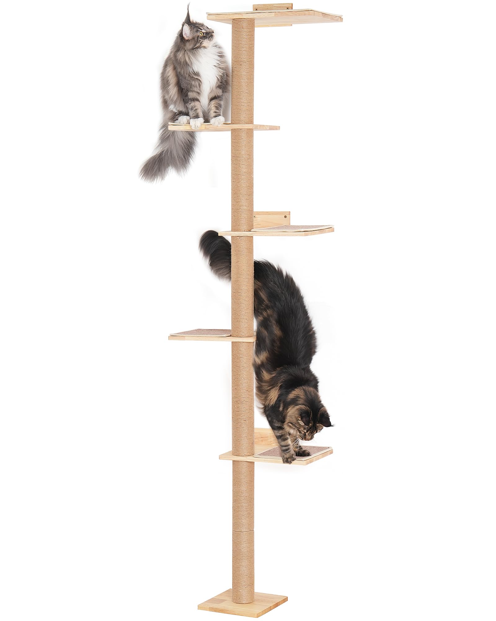 Aechonow 80.3Inch Floor To Ceiling Cat Tower On Wall With 5 Mats, Tall Cat Tree For Large Adult Cats, Jute Scratch Post, Large W