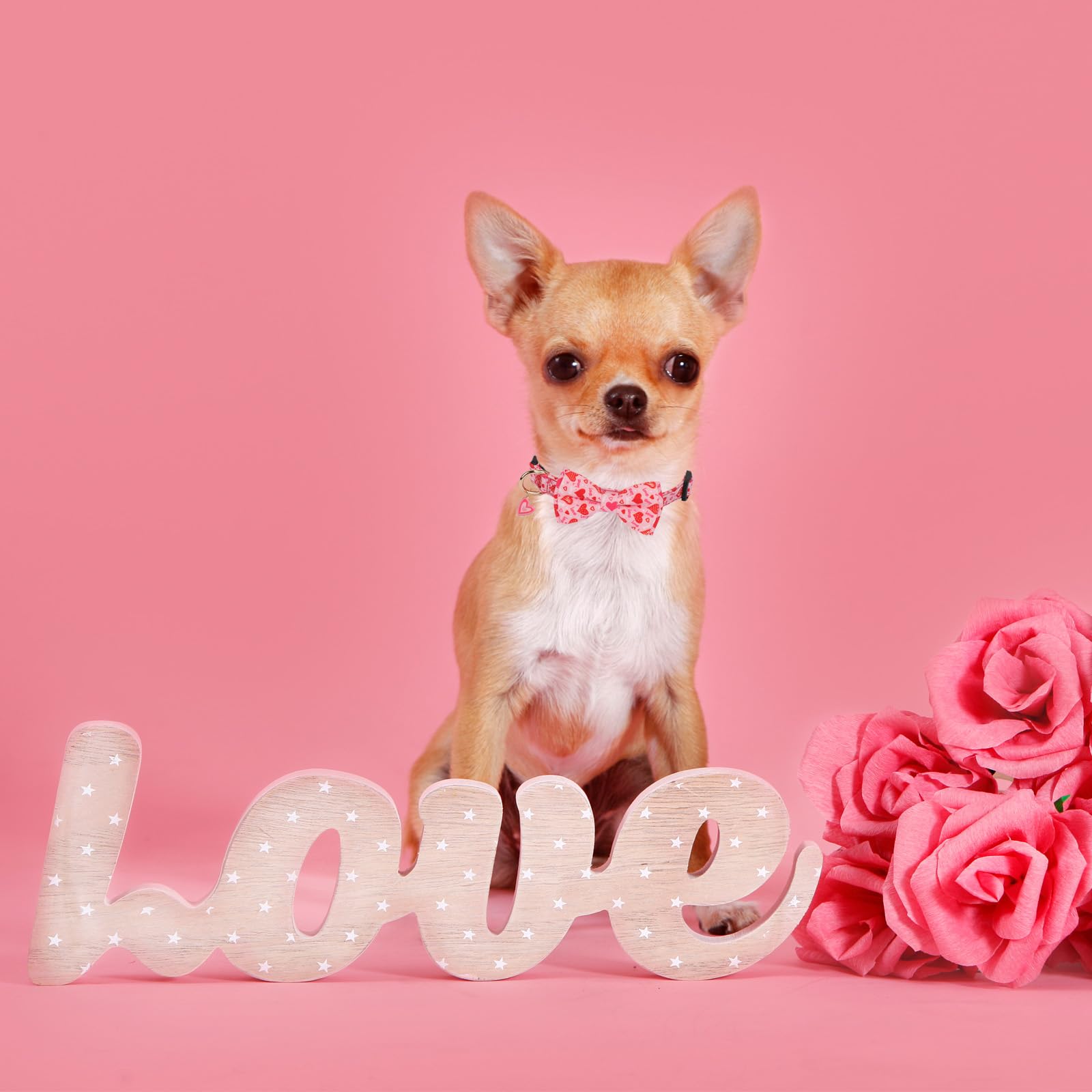 Ptdecor Valentine Dog Collar With Bowtie Adjustable Pink Love Heart Pet Collars Valentine Collars For Small Dogs Pets (Small)