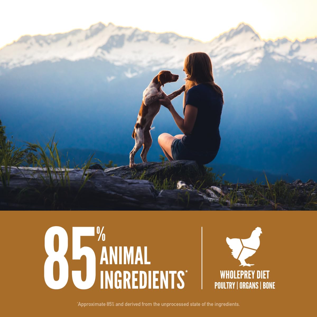 ORIJEN Puppy Dry Dog Food, Grain Free Dry Dog Food for Puppies, Fresh or Raw Ingredients, 23.5lb
