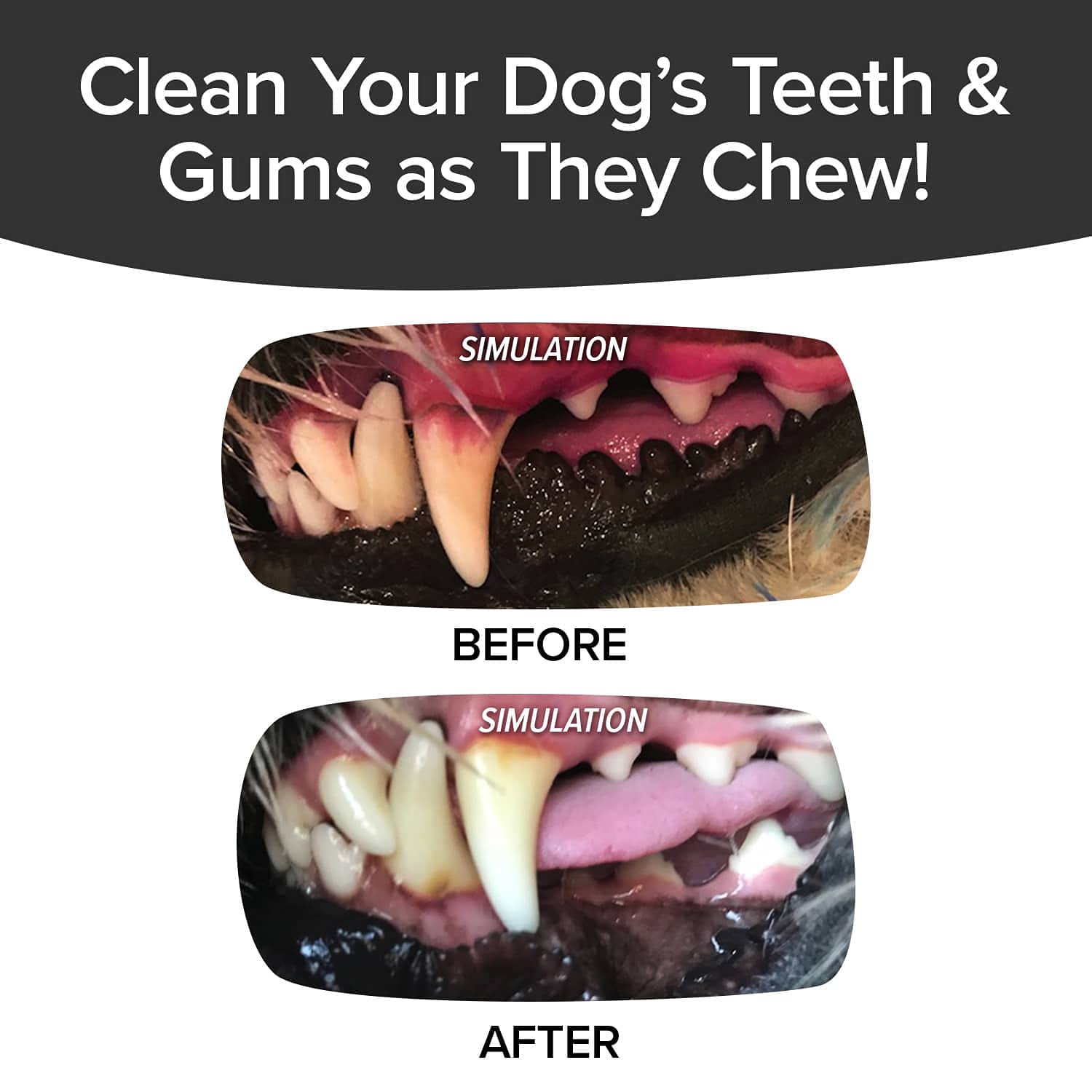 BulbHead Bonanza Bone Toothbrush, Infused with Real Bacon Flavor - Dogs Brush Chewing, Plaque and Tartar Remover for Teeth, Work