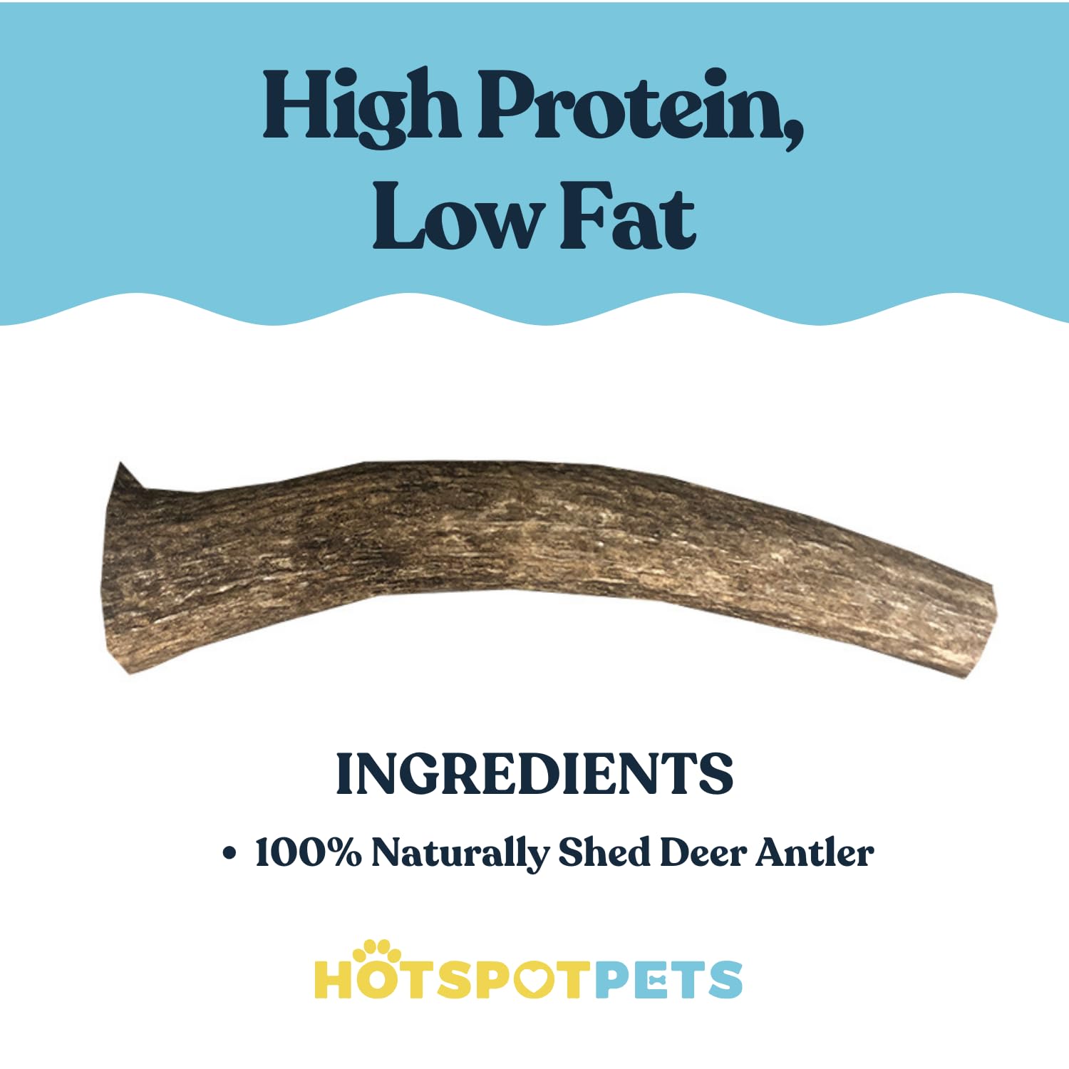 Hotspot Pets Premium Medium Whole Deer Antlers For Dogs - 5+ Inch Sized Antler Dog Chews - Naturally Shed For Small And Medium B