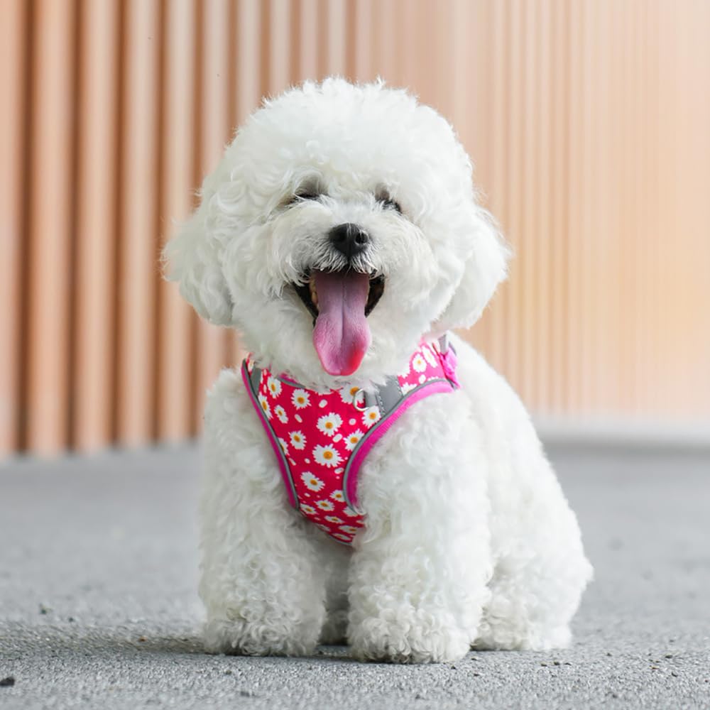 Step in Dog Harness and Leash Set, Flower Adjustable Easy Walk Puppy Harnesses, Soft Mesh Pet Vest Harness Small Size Dog Adjust