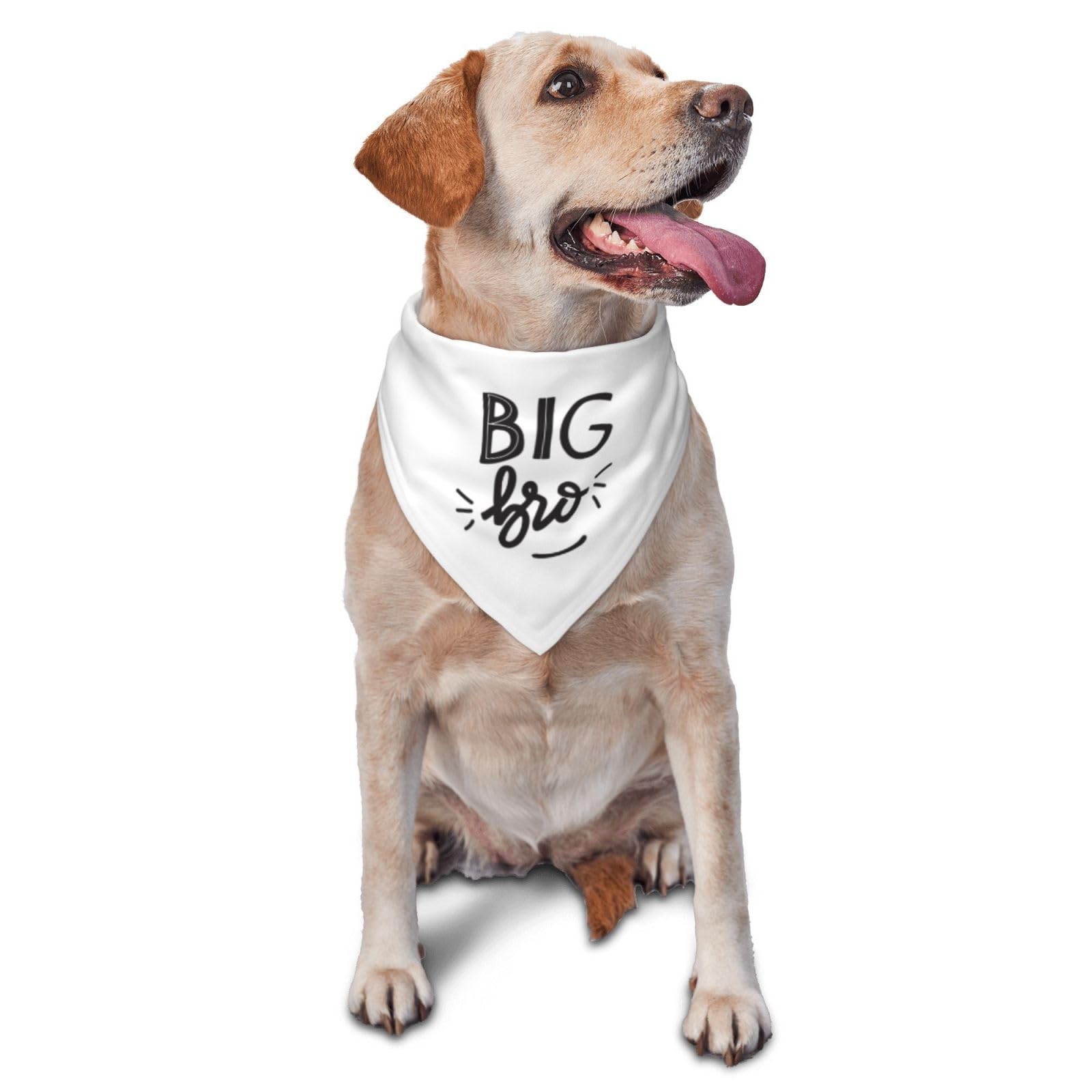 Vercosee Big Brother Dog Bandana, Reversible, Baby Announcement, Gift For Dog Lover Owner (White-New)