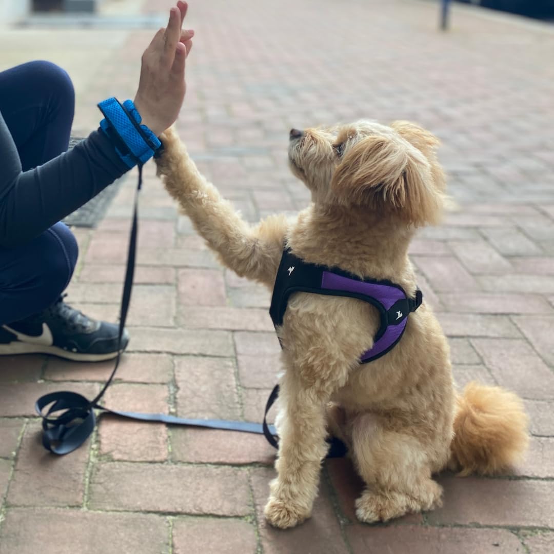 Gooby Soft Mesh Wrist Band Surfer Leash - Flamingo Pink, 6 Ft - Comfortable Hands Free Leash With Elastic Band For Small, Medium And Large Dogs