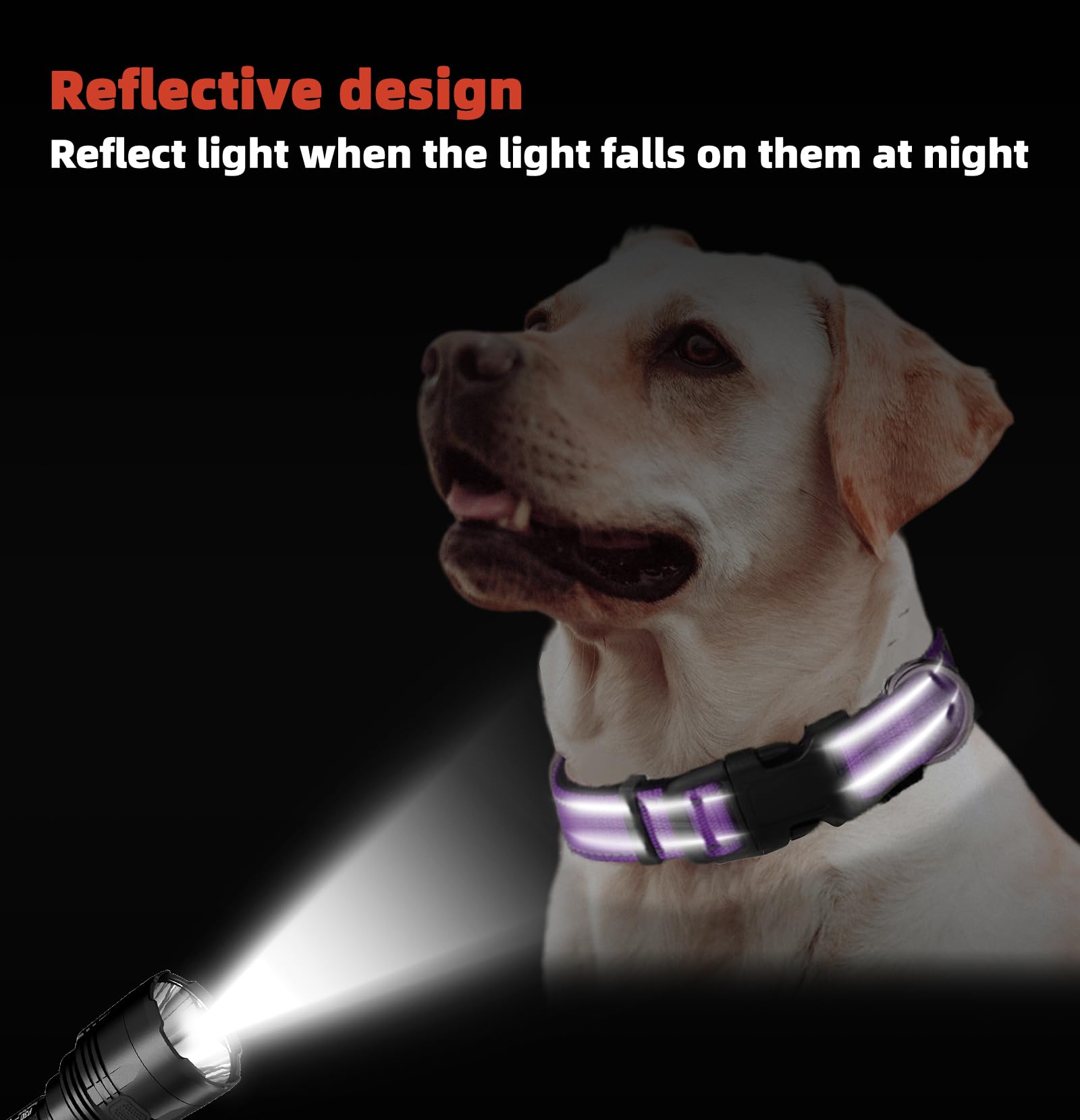 Xl Dog Collar, Reflective Pet Collar With Buckle Adjustable Safety Nylon Collars For Small Medium Large Dogs, Purple