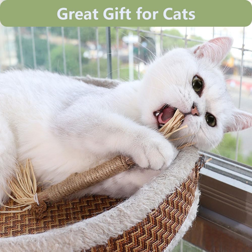 Relonggi 5 Pcs Silvervine Sticks For Cats - Natural Cat Chew Toys For Teeth Cleaning, Kitten Teething & Aggressive Chewers