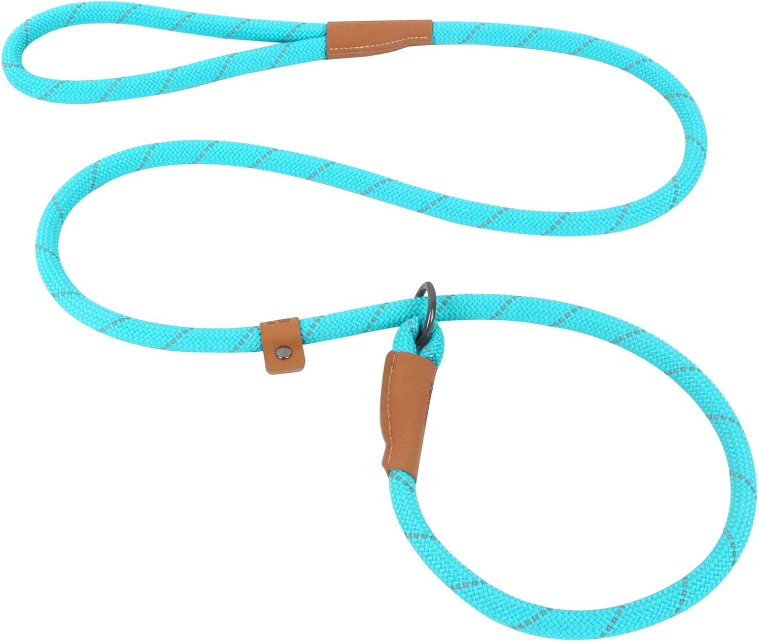 Slip Lead Dog Leash - 5Ft, 2 Sizes - Reflective Mountain Climbing Rope (Turquoise, 2/1)