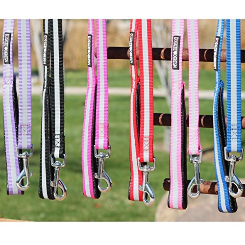 Doggie Design Dd-Rfl-Cp Reflective Nylon Leash With Soft Grip Handle44; Candy Pink - 0.75 In. X 5 Ft.