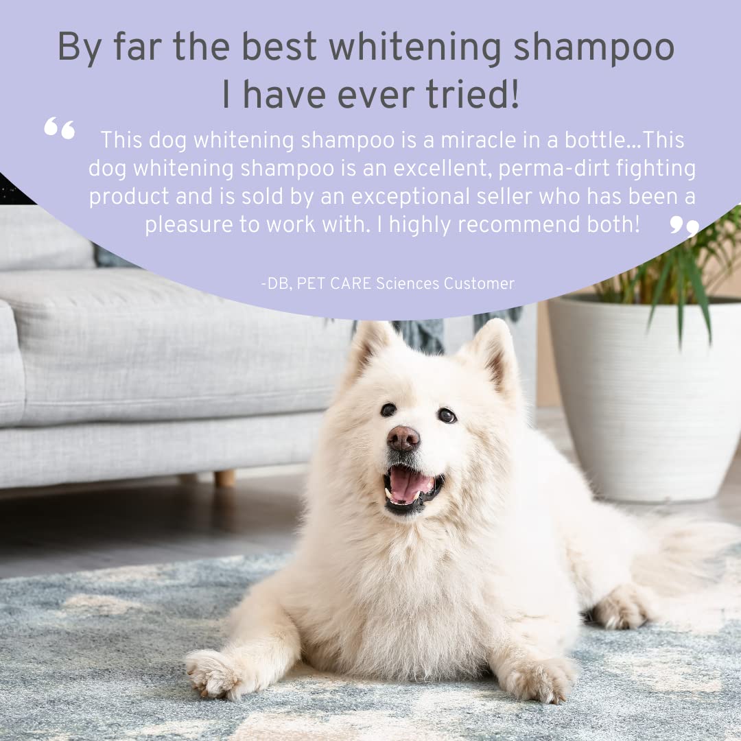1 Gallon Dog Whitening Shampoo - (Mountain Fresh Scent) Groomers Choice - Made in The USA