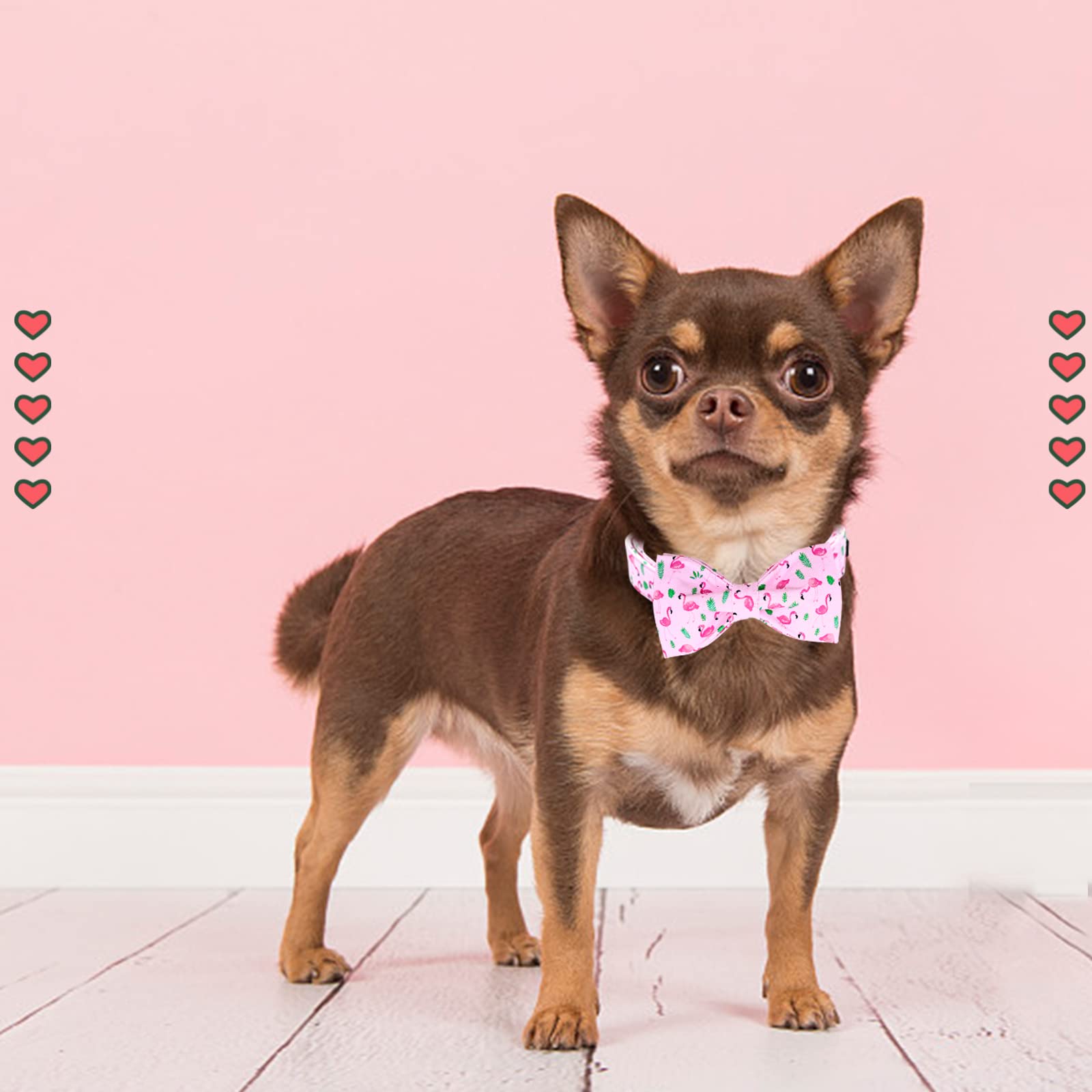 Lionheart Glory Dog Bow Collar - Valentine's Day Collar with Bowtie for Small Dogs, Pink