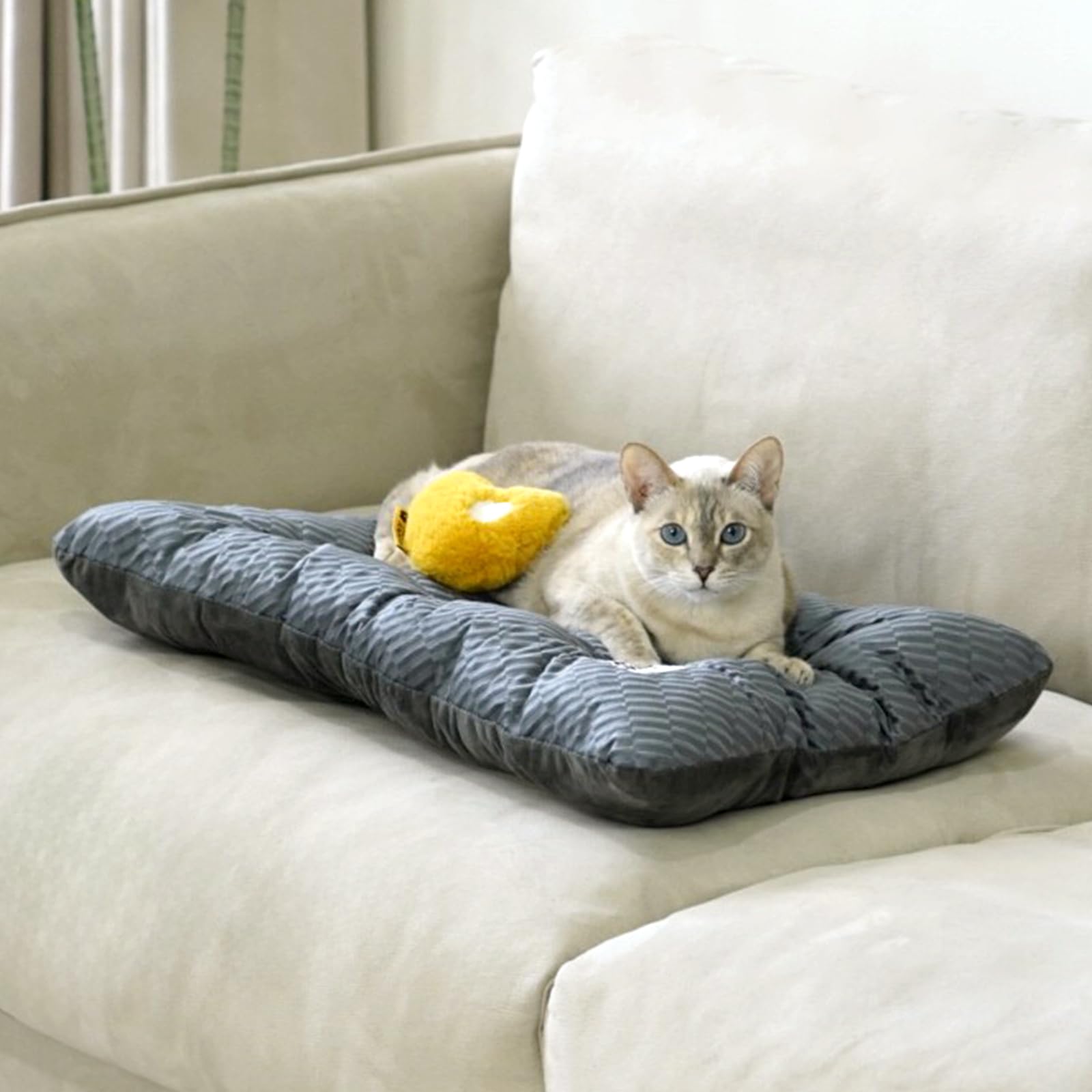 Funny Fuzzy 24X18 Washable Dog Bed Crate Mat, 2 In1 Puppy Pillow Sleepping Pad, Fluffy Deluxe Kennel Mattress For Small Dog And