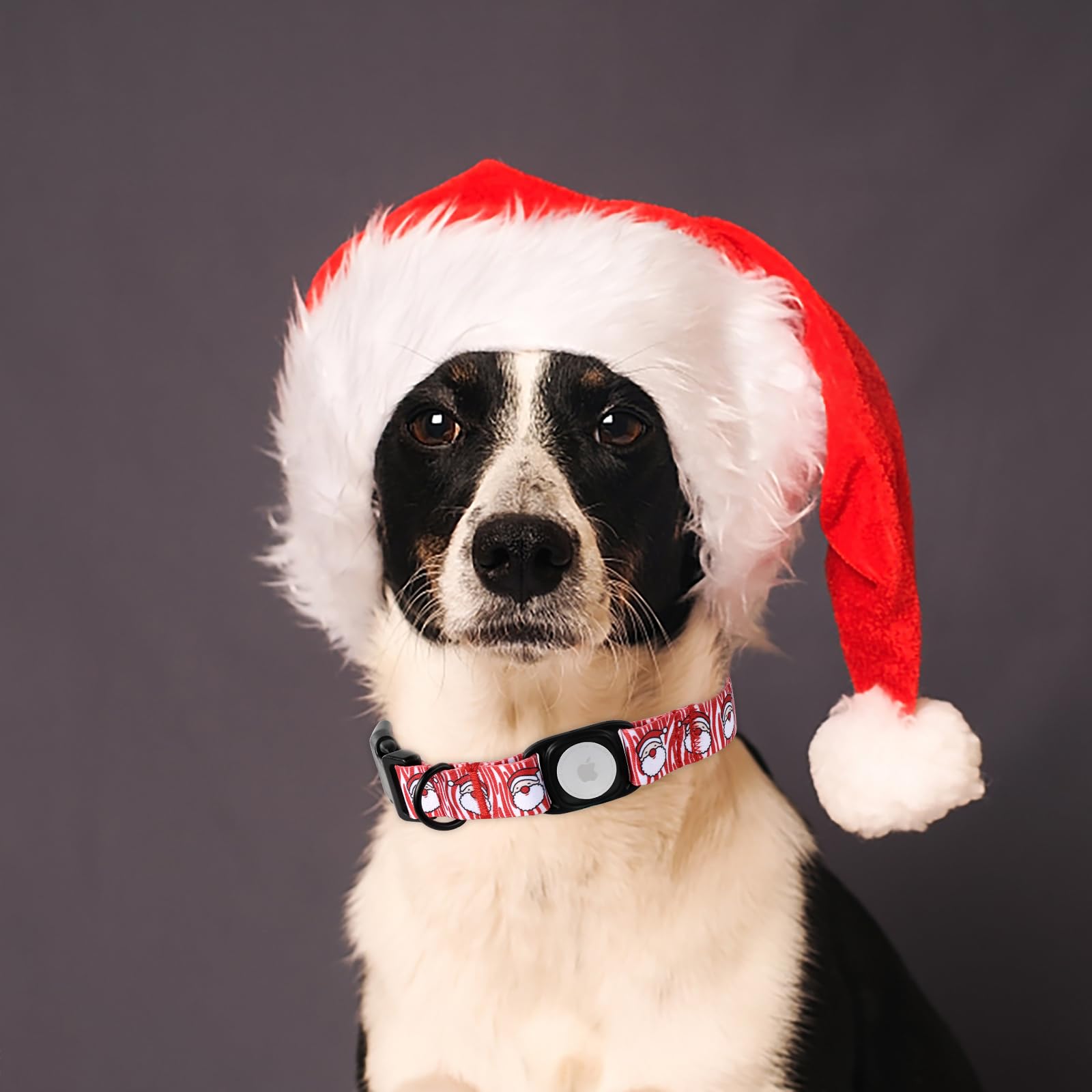 Christmas Dog Collar With Apple Airtag Holder Mr.Chubbyface Winter Senta Dog Collar For Small Medium Large Boy Girl Dogs