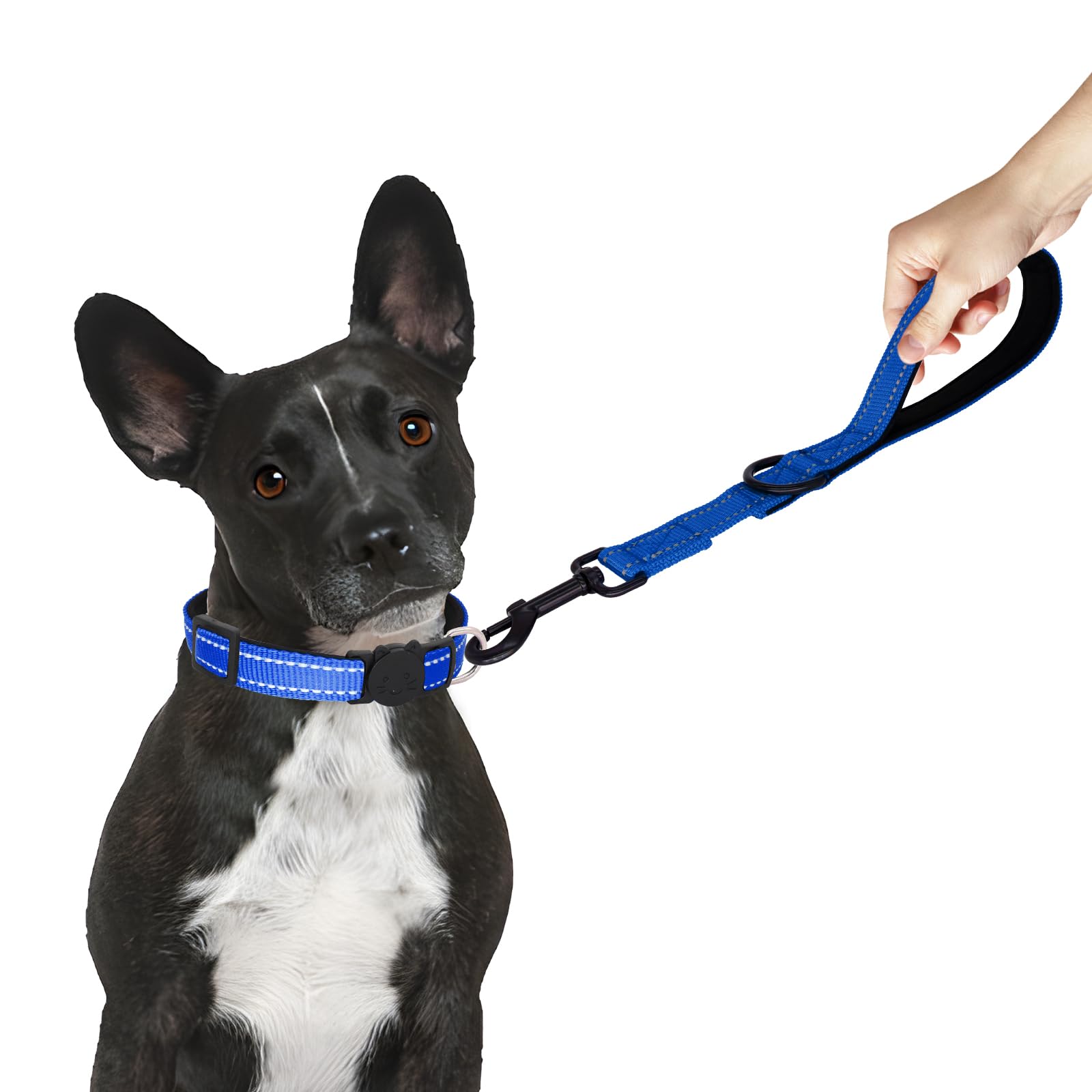 Giecooh Short Dog Leash, Reflective Traffic Leash With Padded Handle, 2 Ft Nylon Training Leashes For Small Meidum Large Dogs, R