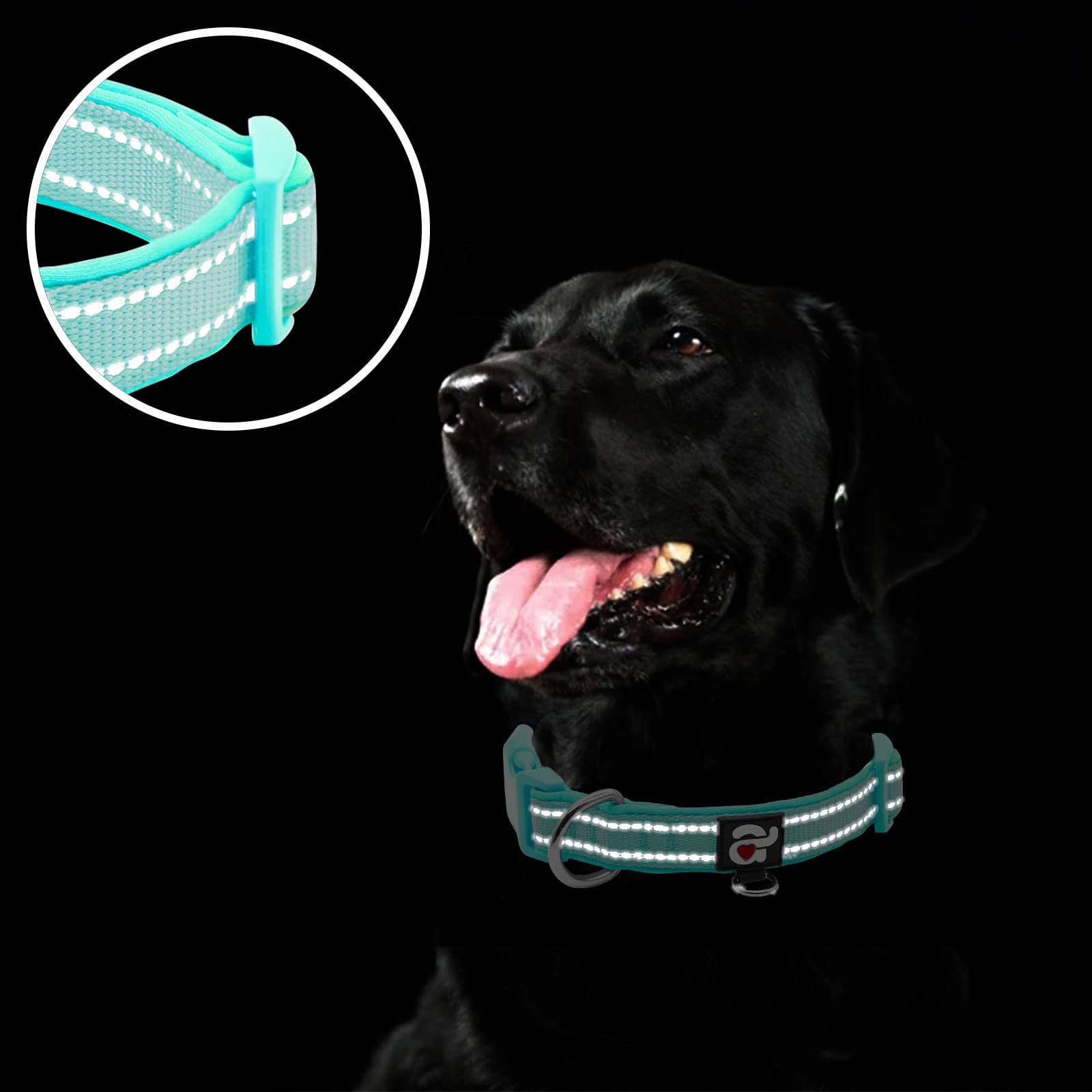 Azuza Reflective Dog Collar,Soft Neoprene Padded Pet Collar With Id Tag Ring,Adjustable For Medium Dogs,Teal,M