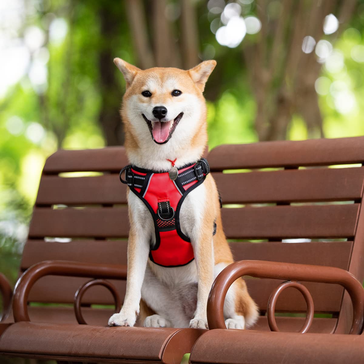 Poypet 2019 Upgraded No Pull Dog Harness With 4 Snap Buckles, 3M Reflective With Front & Back 2 Leash Hooks And An Easy Control Handle [No Need Go Over Dog’S Head (Red,M)