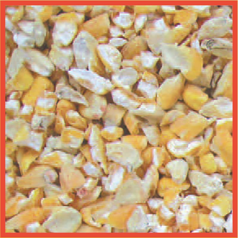 CRACKED CORN BIRD SEED5# (Pack of 1)