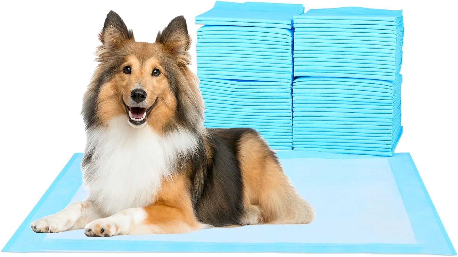 Super Absorbent Waterproof Dog and Puppy Pet Training Pad, Housebreaking Pet Pad, 80-Count Medium-Size, 23.6X23.6