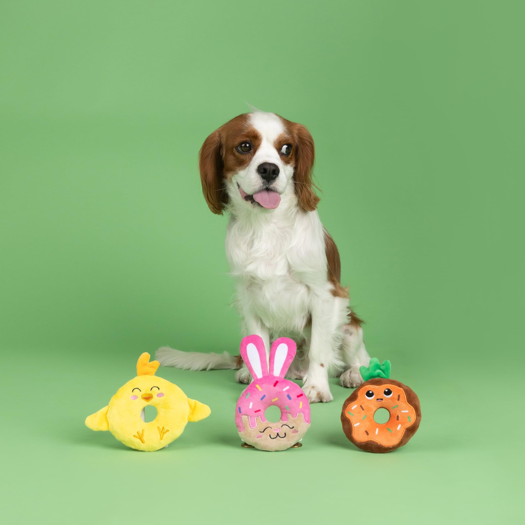 Fringe Studio Plush Dog Toy, 3 Pieces Set, Holey Donuts, Petshop Collection (662098)