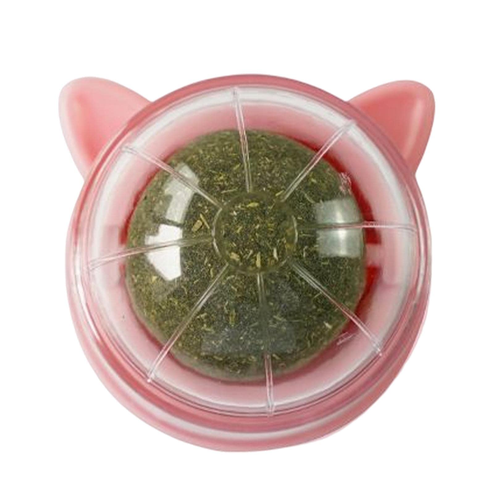Ujeavette Catnip Ball Toys Teething Toy Snack Pet French Windows With Lid Chew Cat Toy Style G
